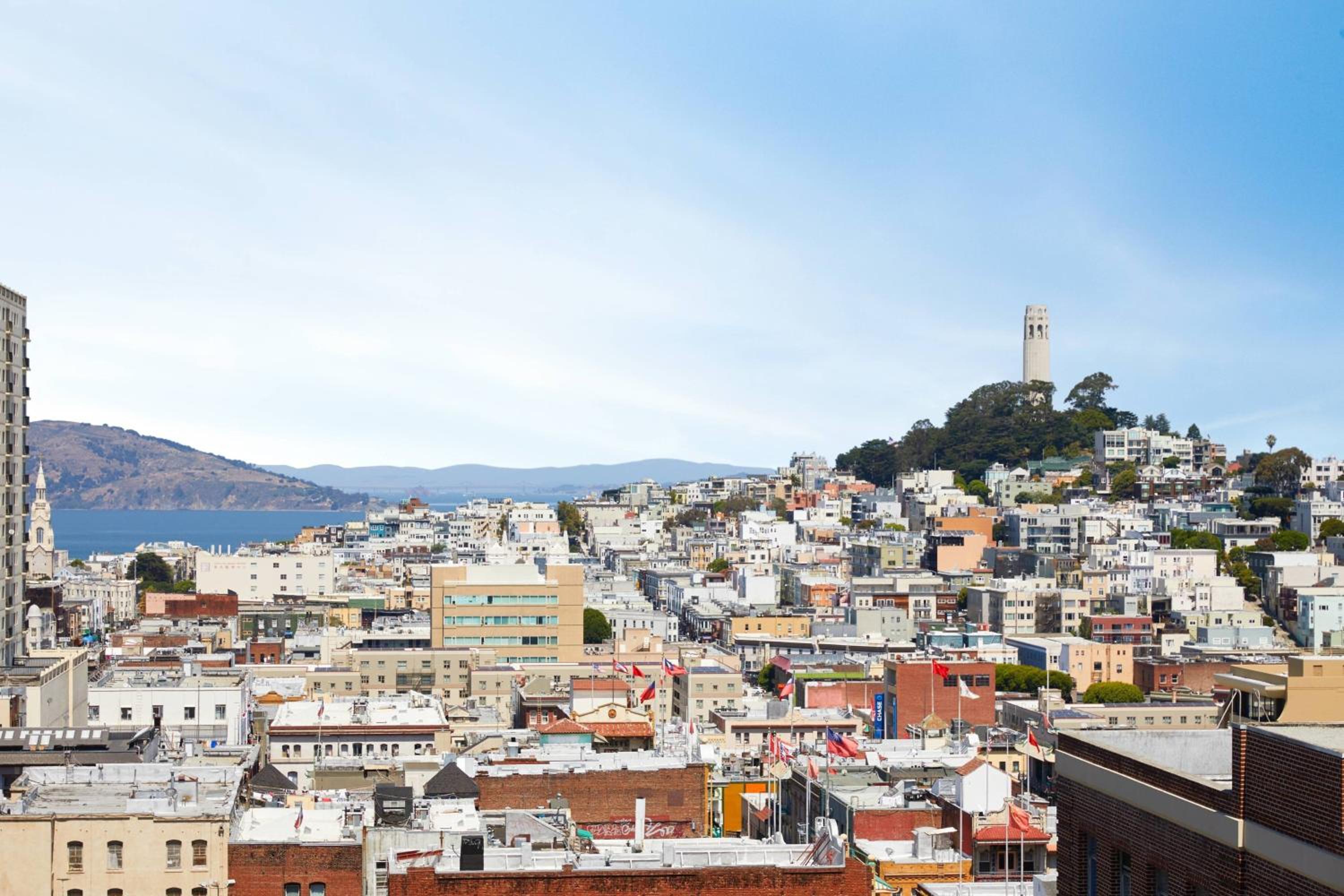 view of the city from the top of a hill