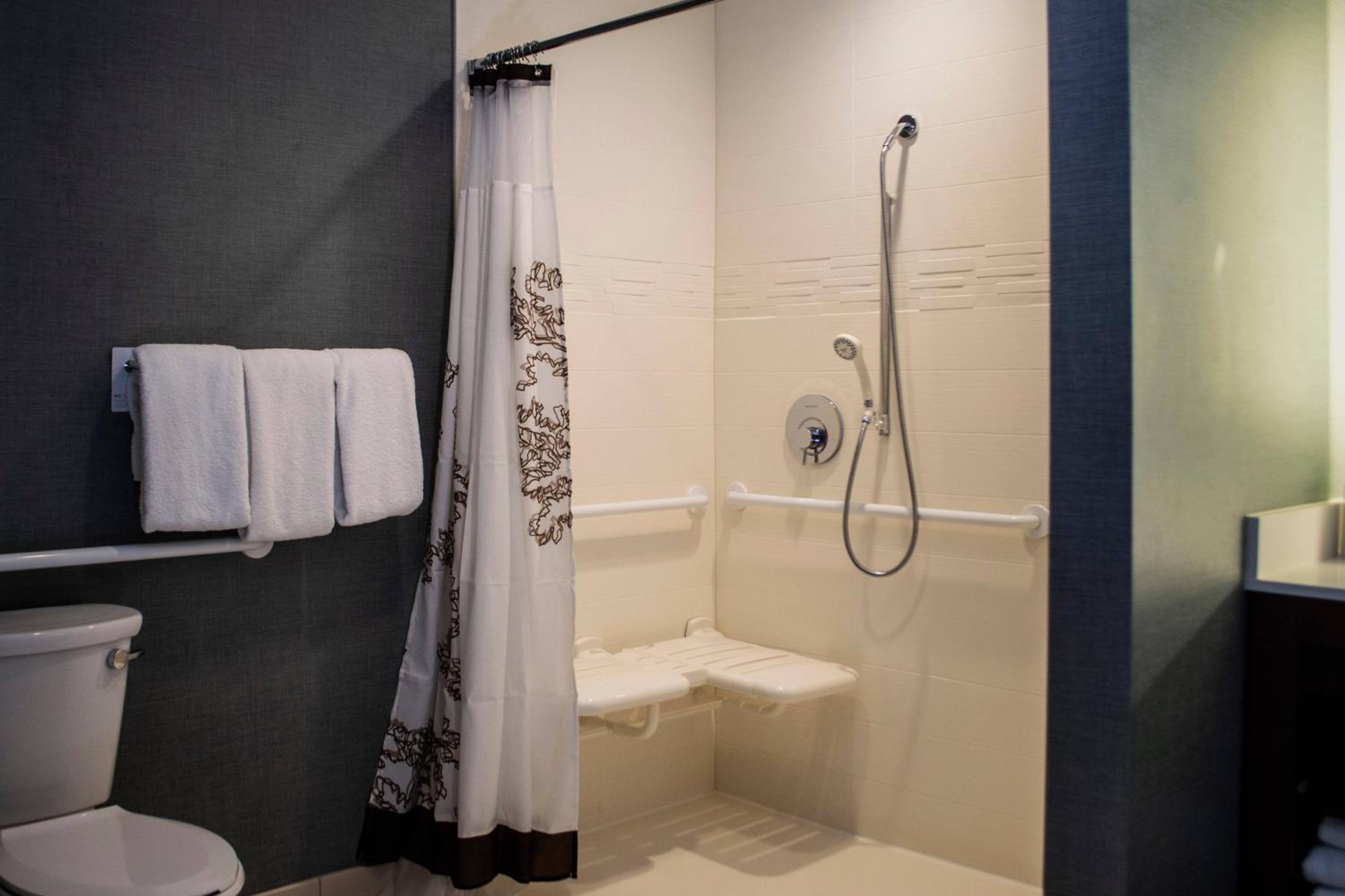 One-Bedroom King Suite with Sofa Bed and Adapted Tub - Mobility Accessible photo 3