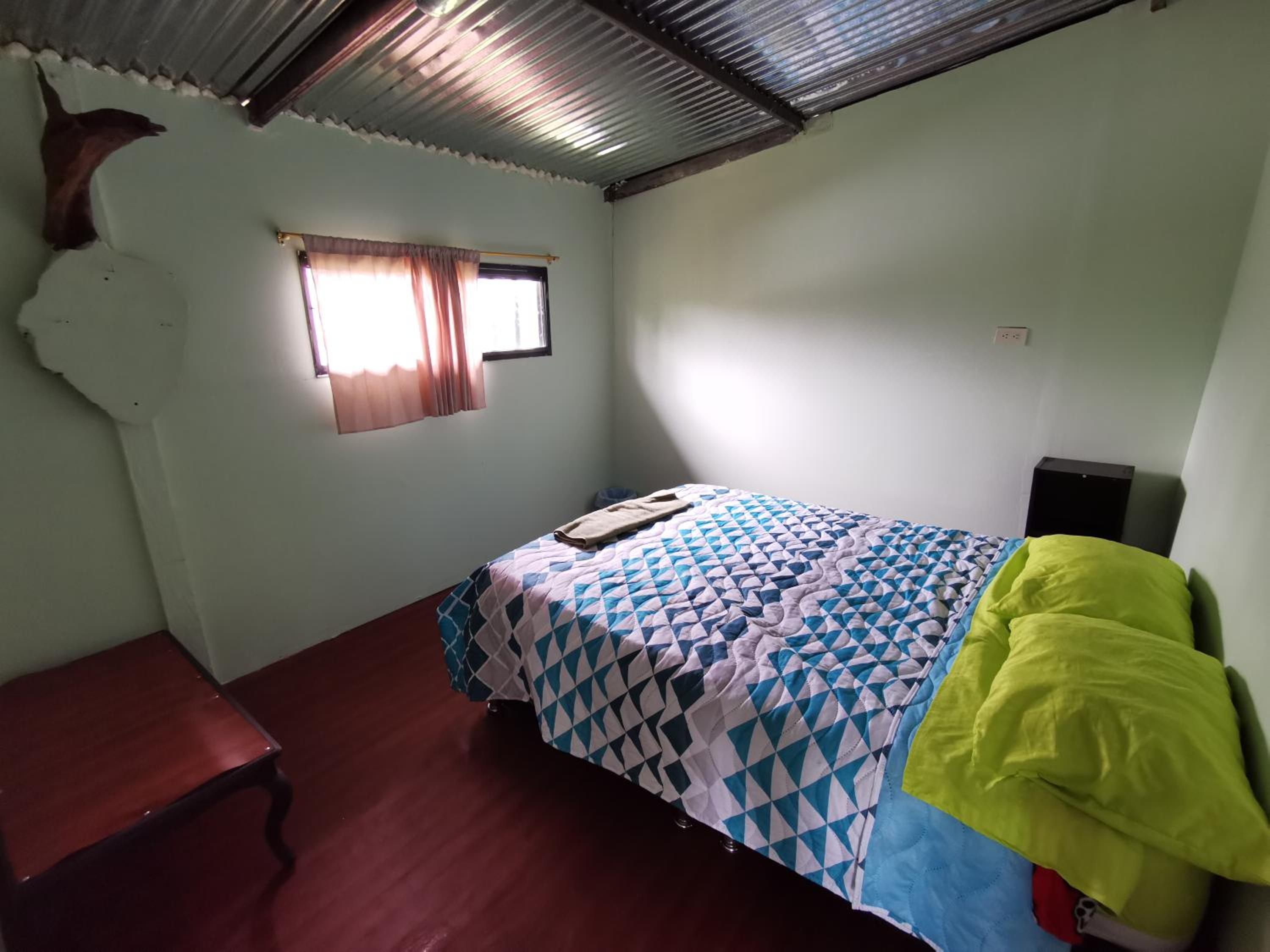 Standard Double Room photo 2
