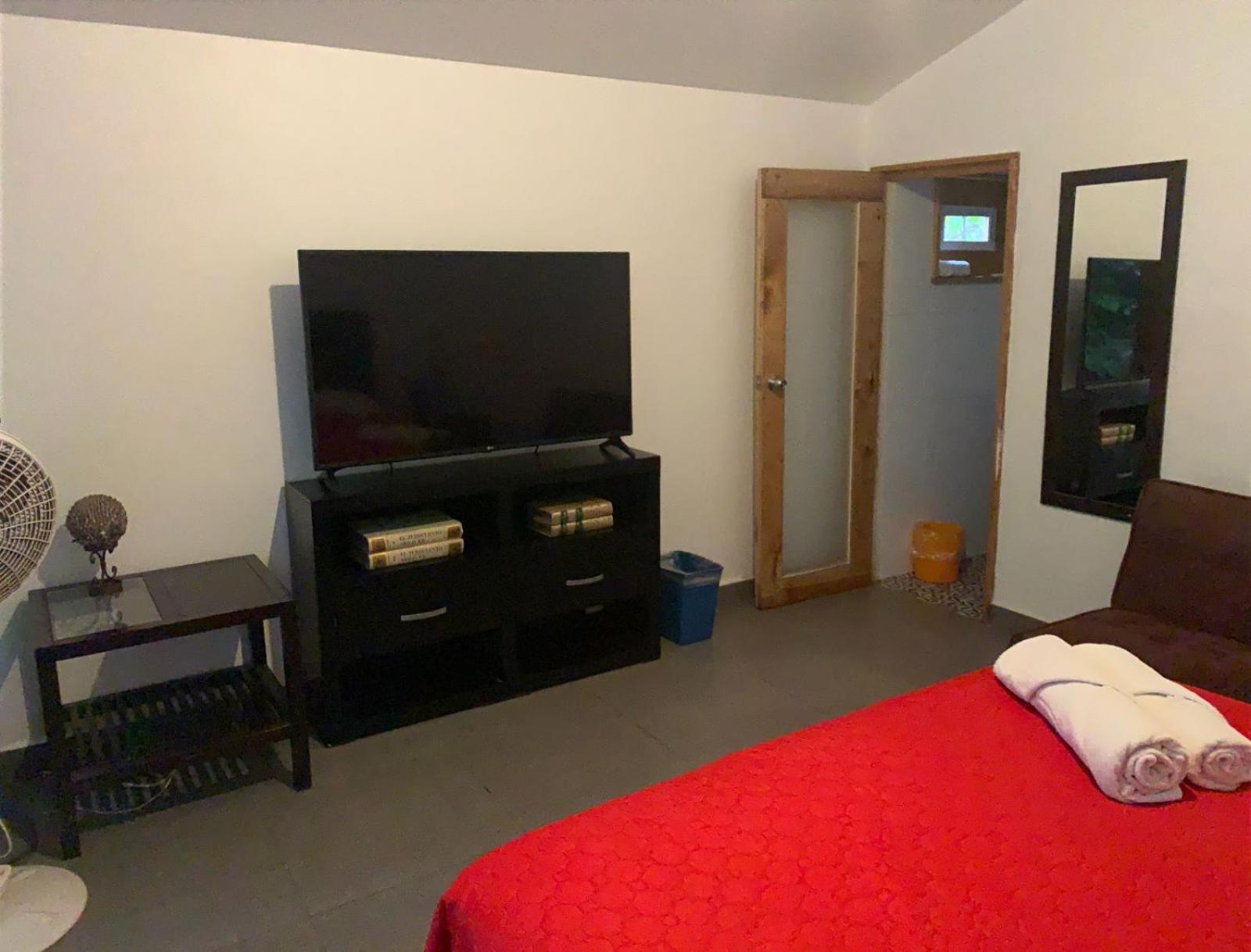 One-Bedroom House photo 3