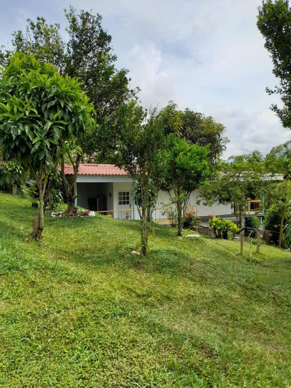 Double Room With Park View photo 2