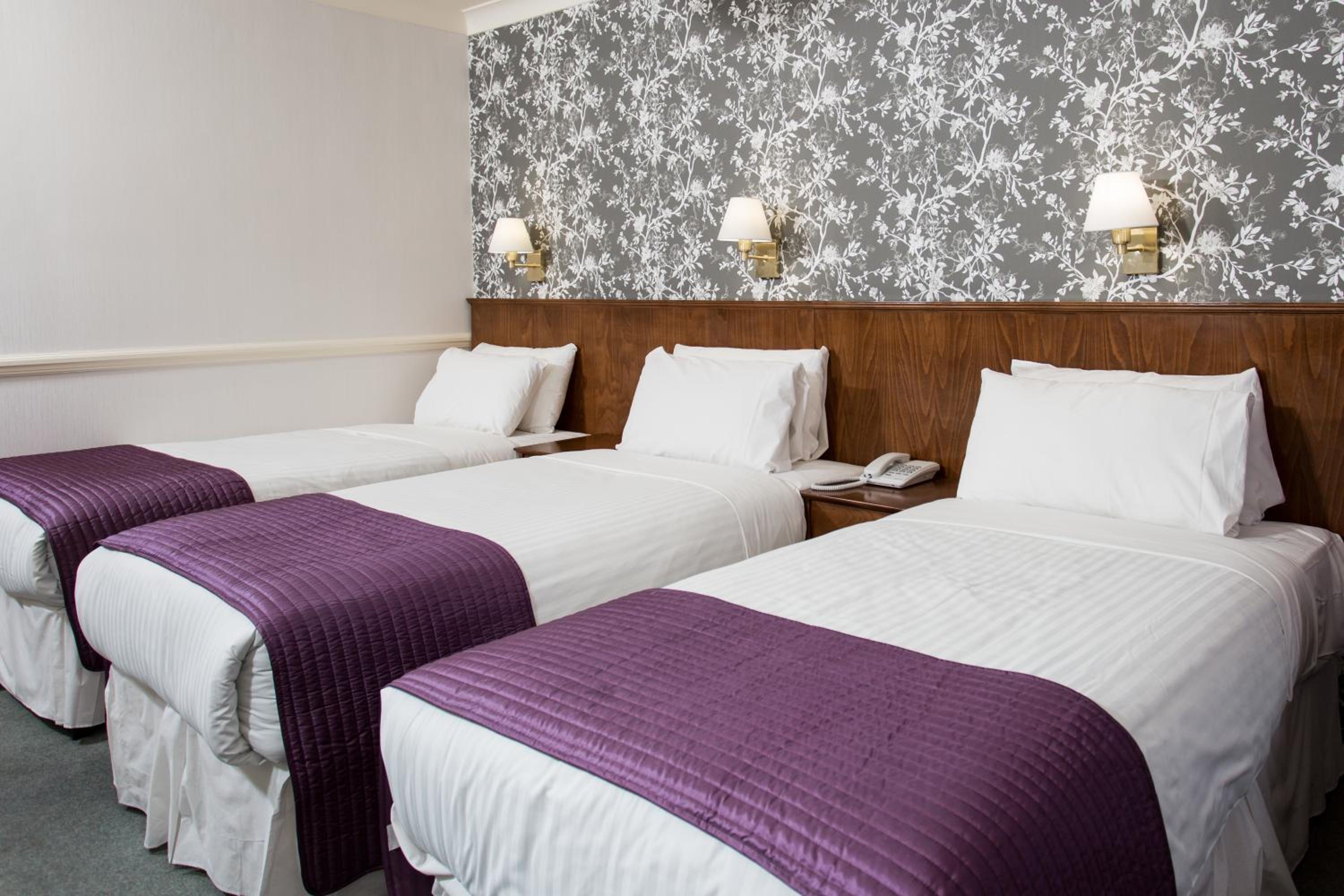 Crown Single Double Room (3 people) photo 2
