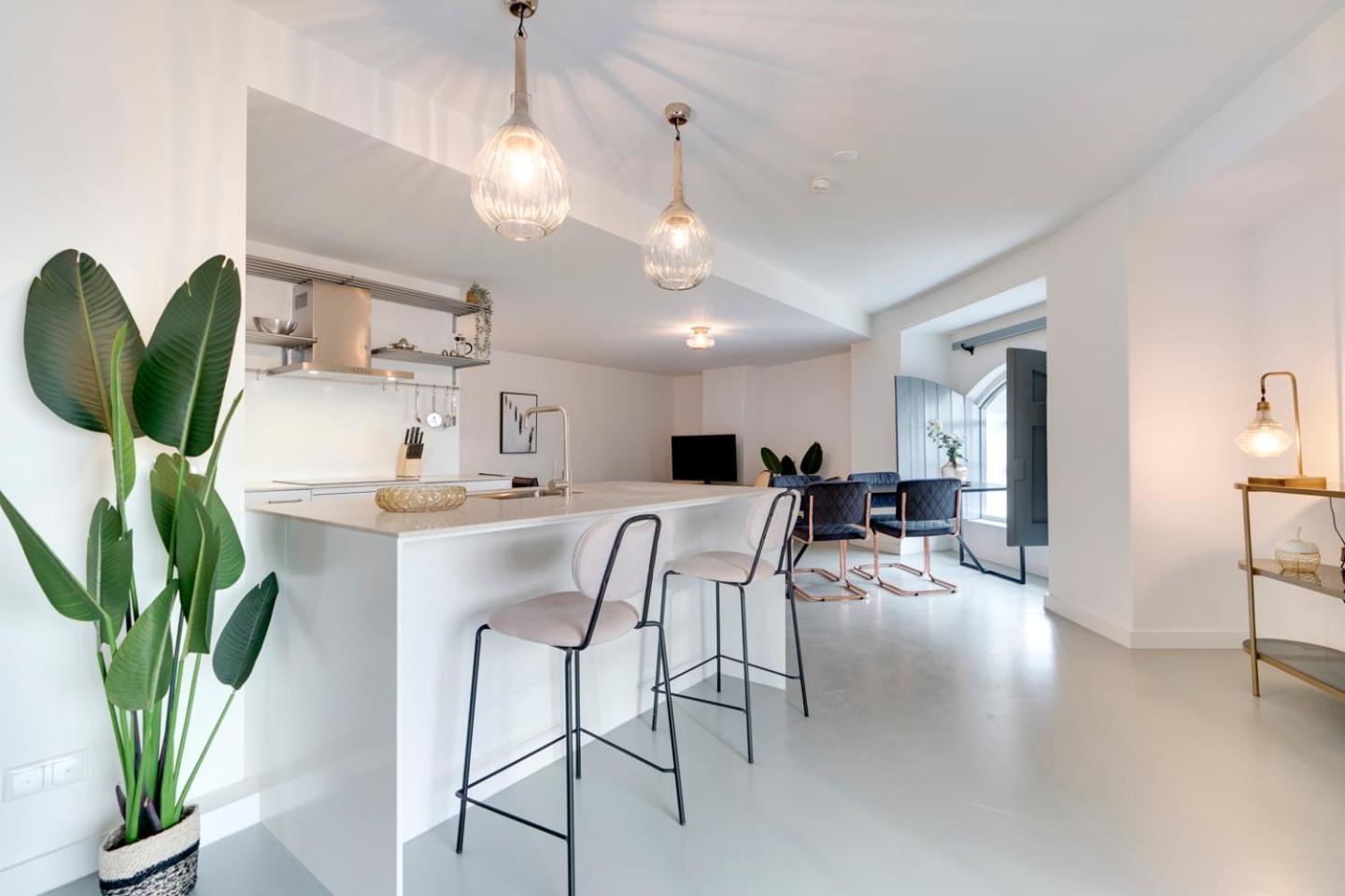 Penthouse Apartment photo 2