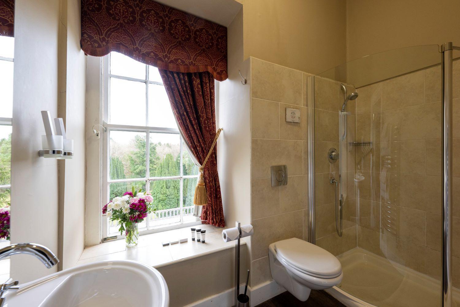 Queen Room photo 2