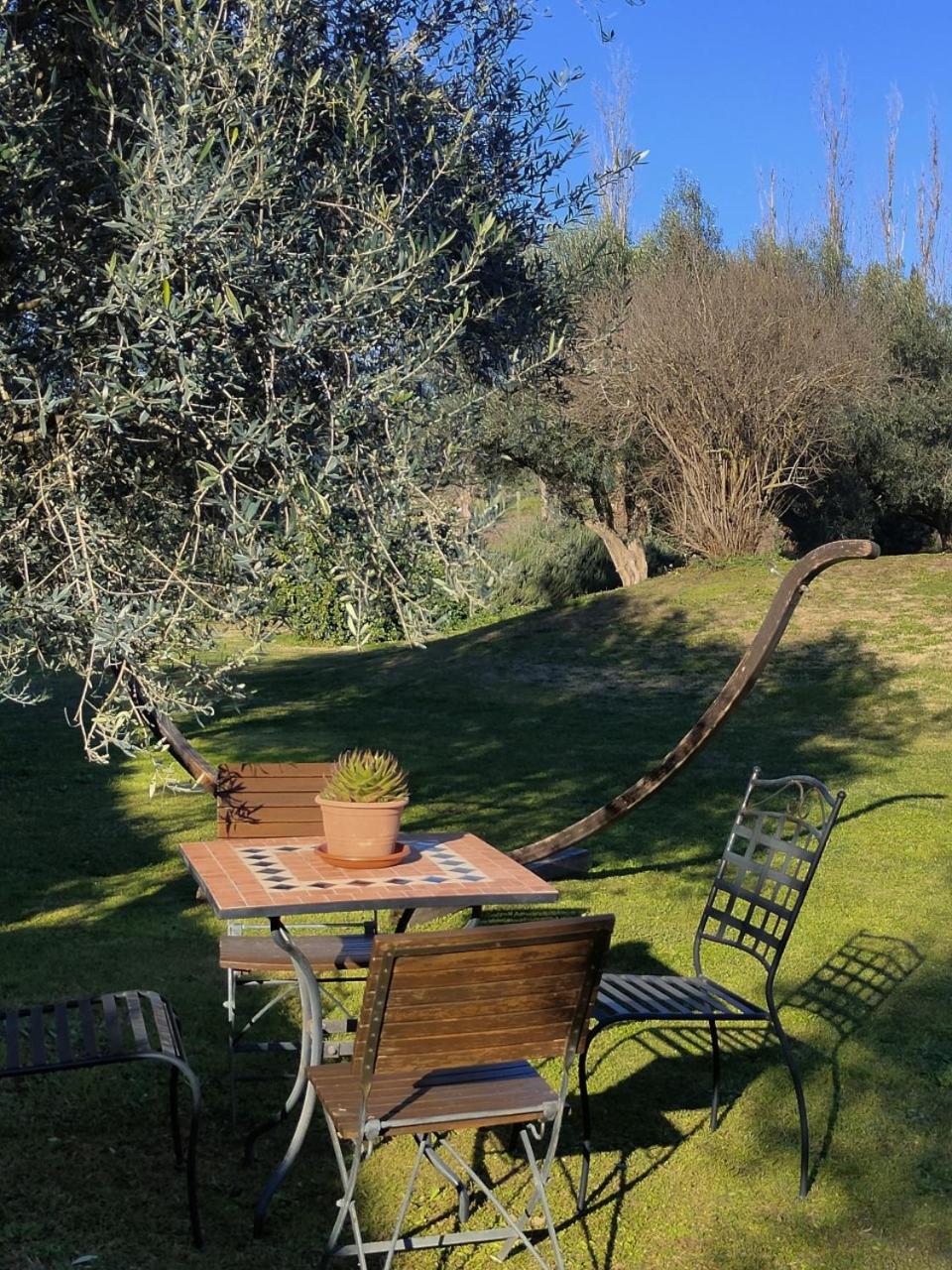 Double Room with Patio photo 3