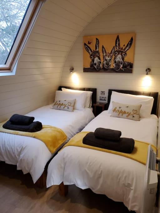 Two-Bedroom House photo 1