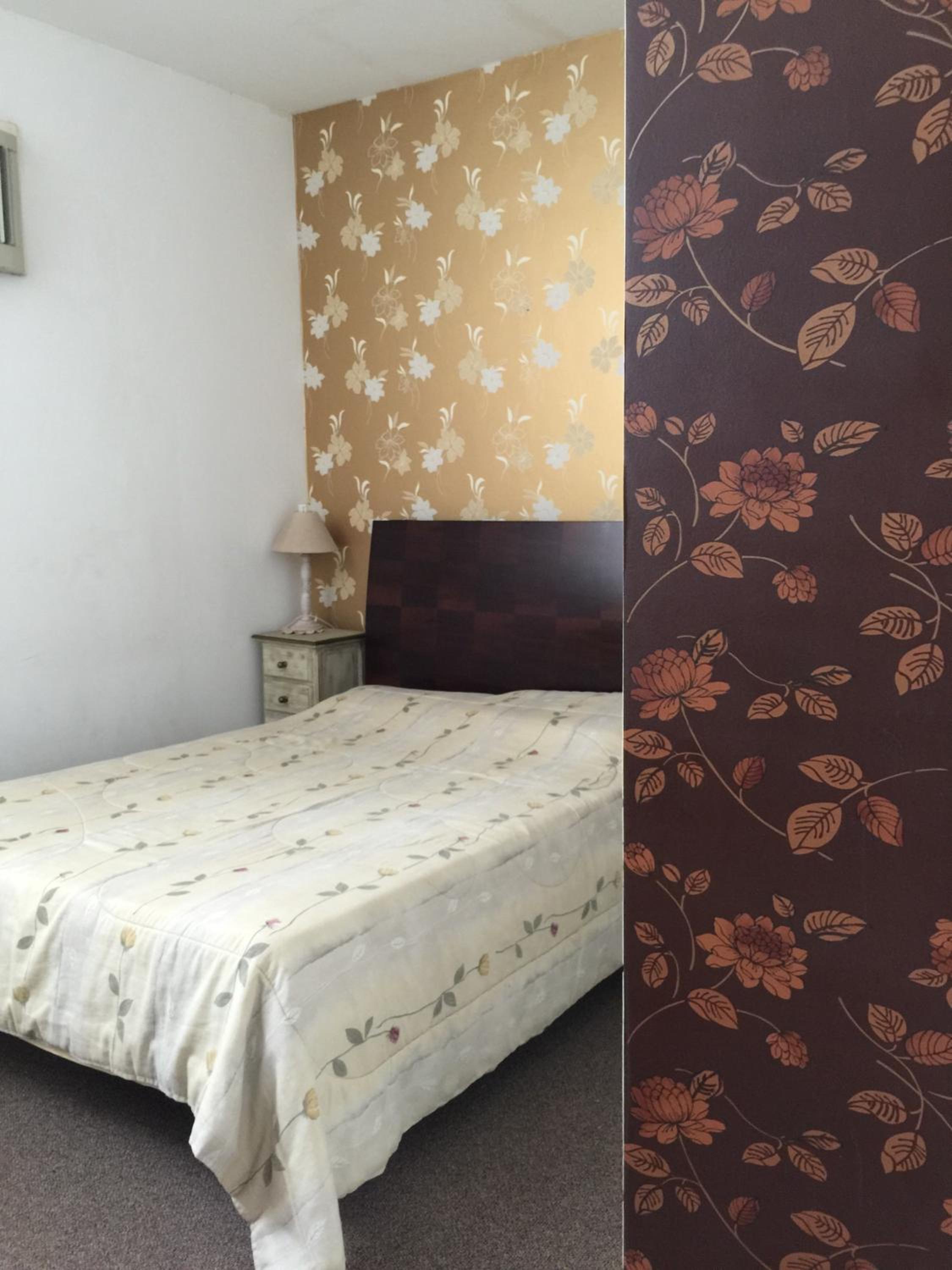 Standard Double Apartment photo 2