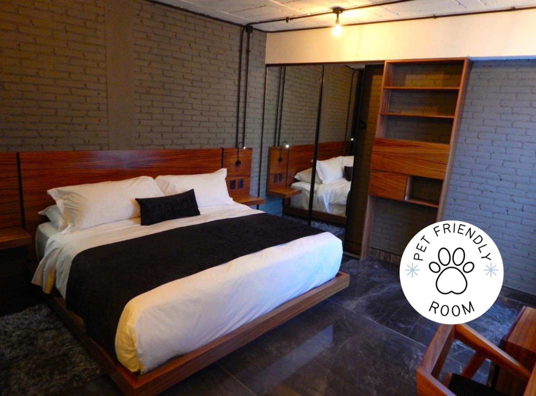  Junior Suite - Pet Friendly - Photo 7