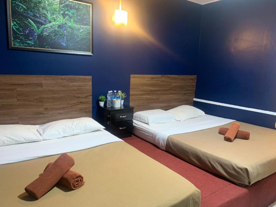 Deluxe Quadruple Room - Photo 3