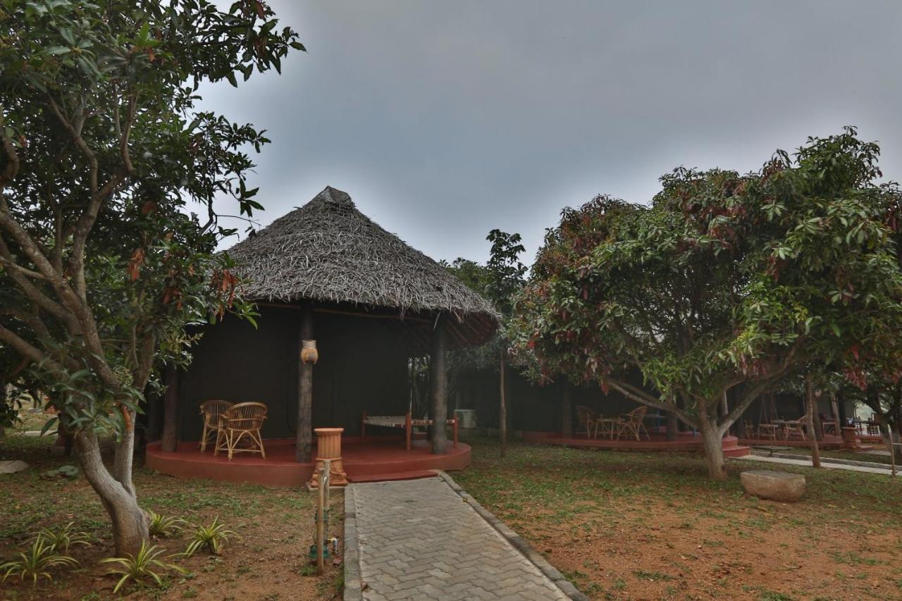 Tent - Photo 7