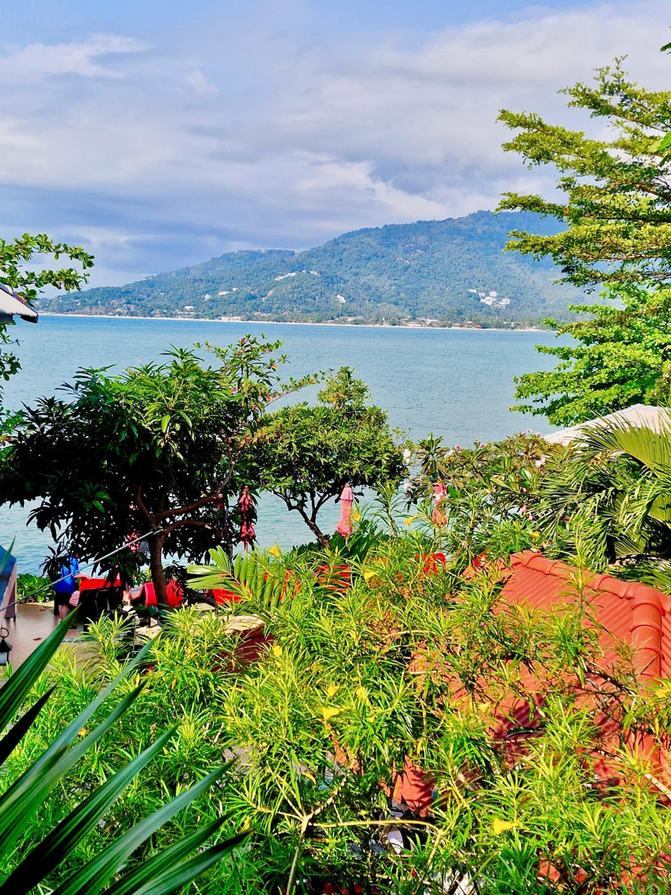 Bungalow with Sea View photo 2