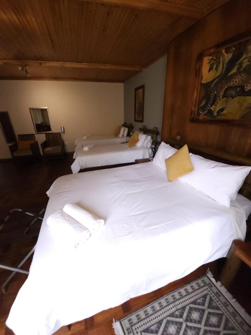Quadruple Room with Kitchenette - Photo 11