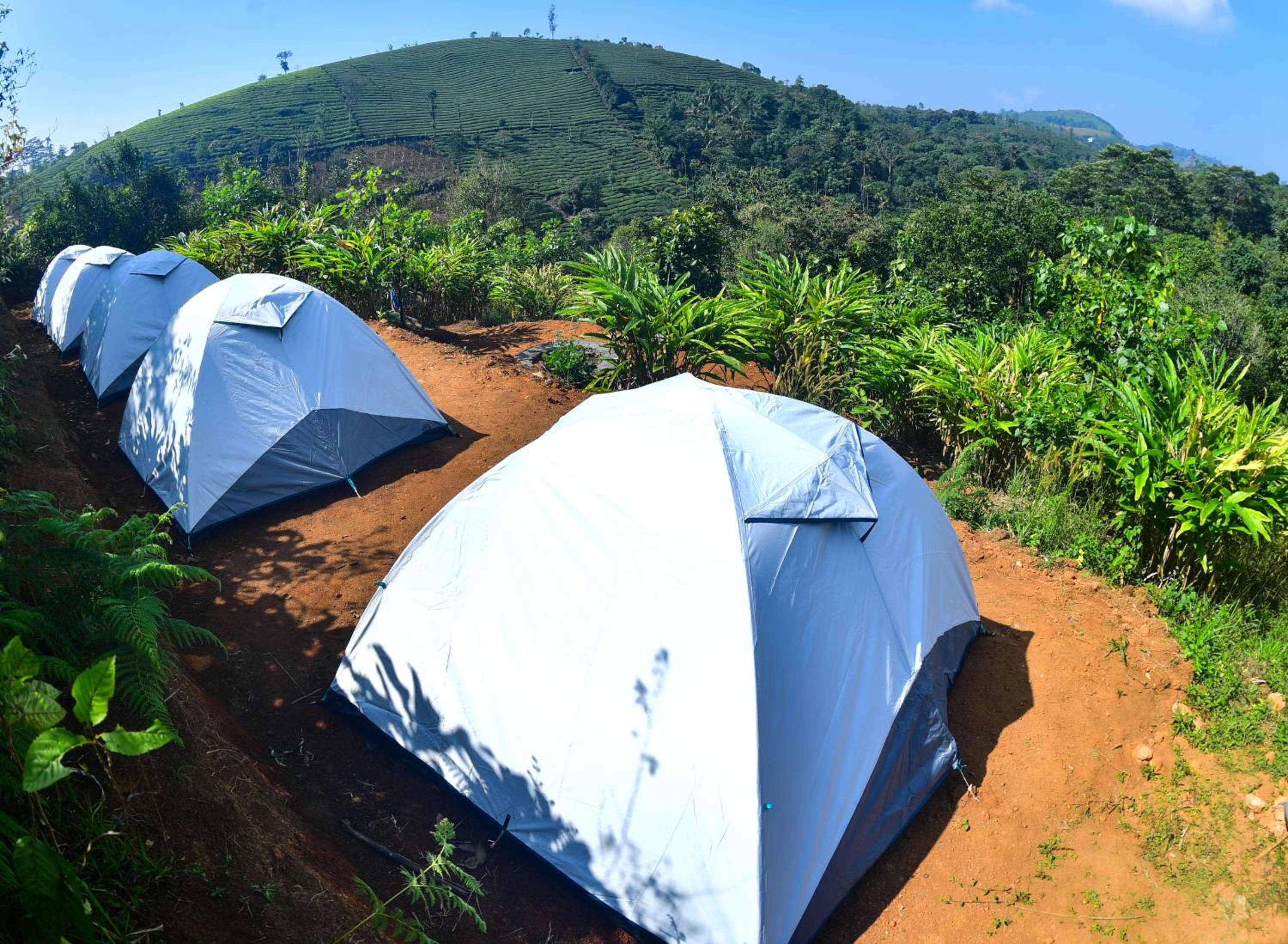 Double or Twin Room with Mountain View photo 2