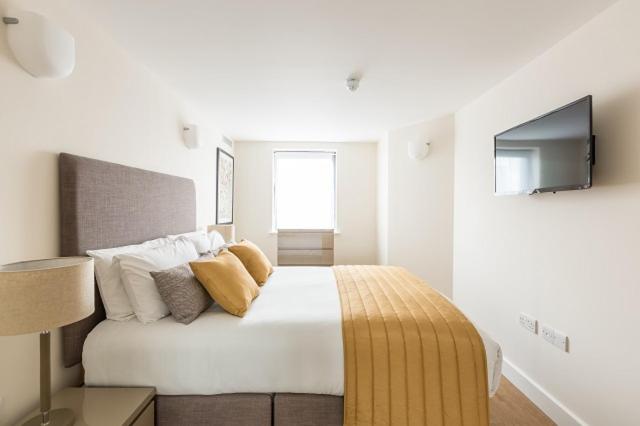 Deluxe One-Bedroom Apartment