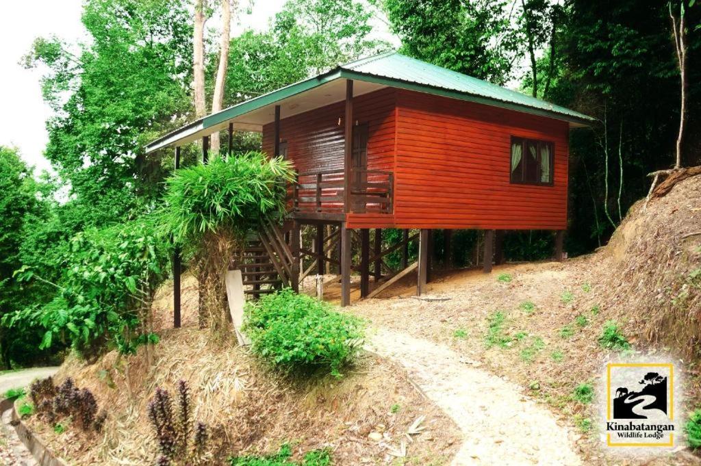 Double Room With Transfer photo 3