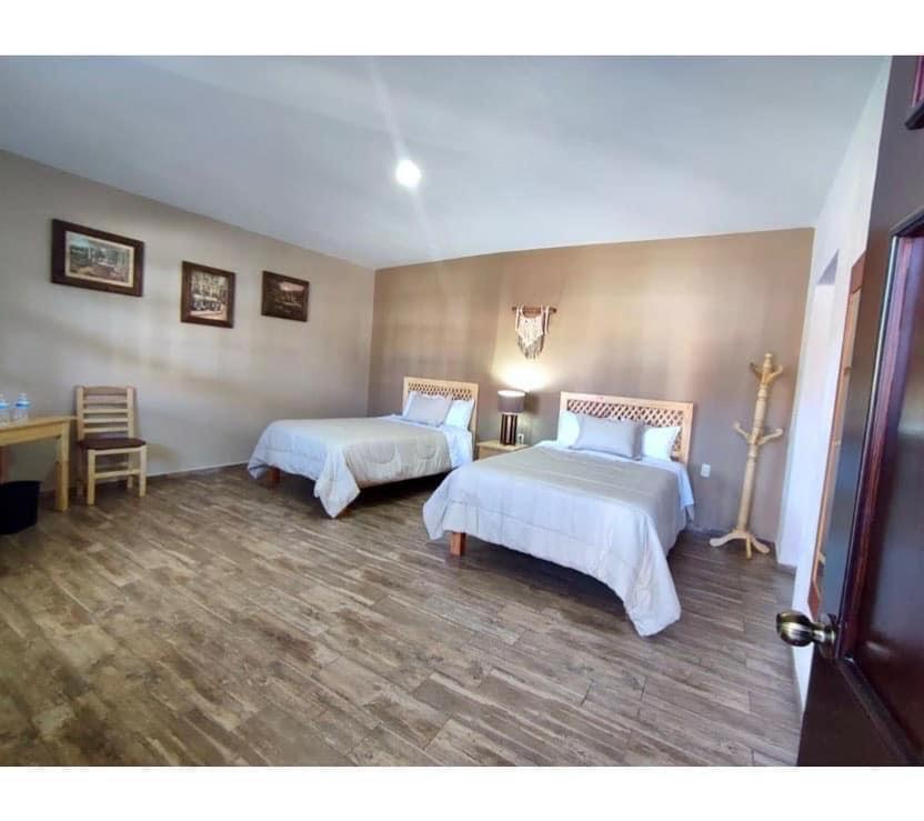 Twin Room photo 1