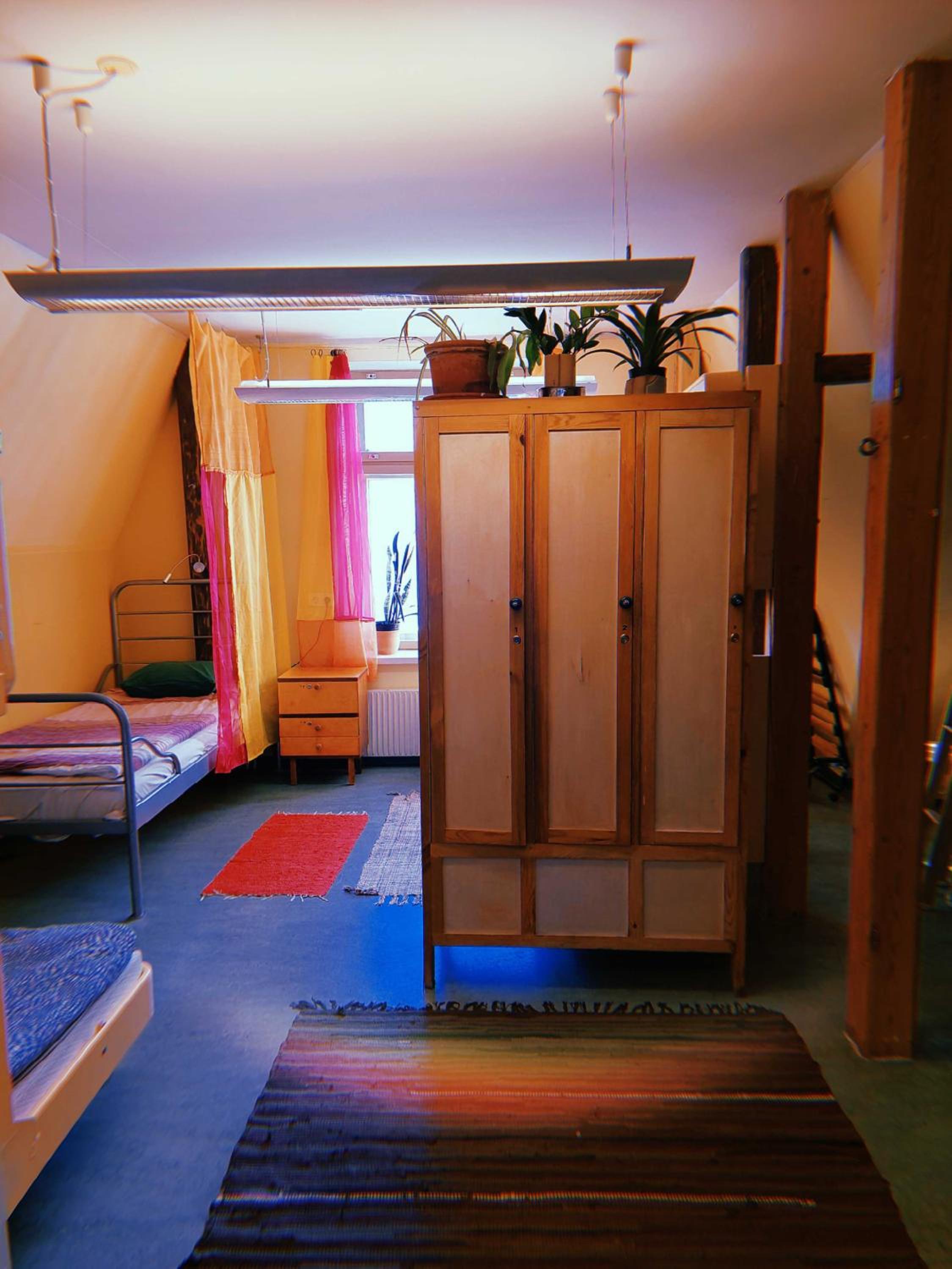 Single Bed in Mixed Dormitory Room photo 1