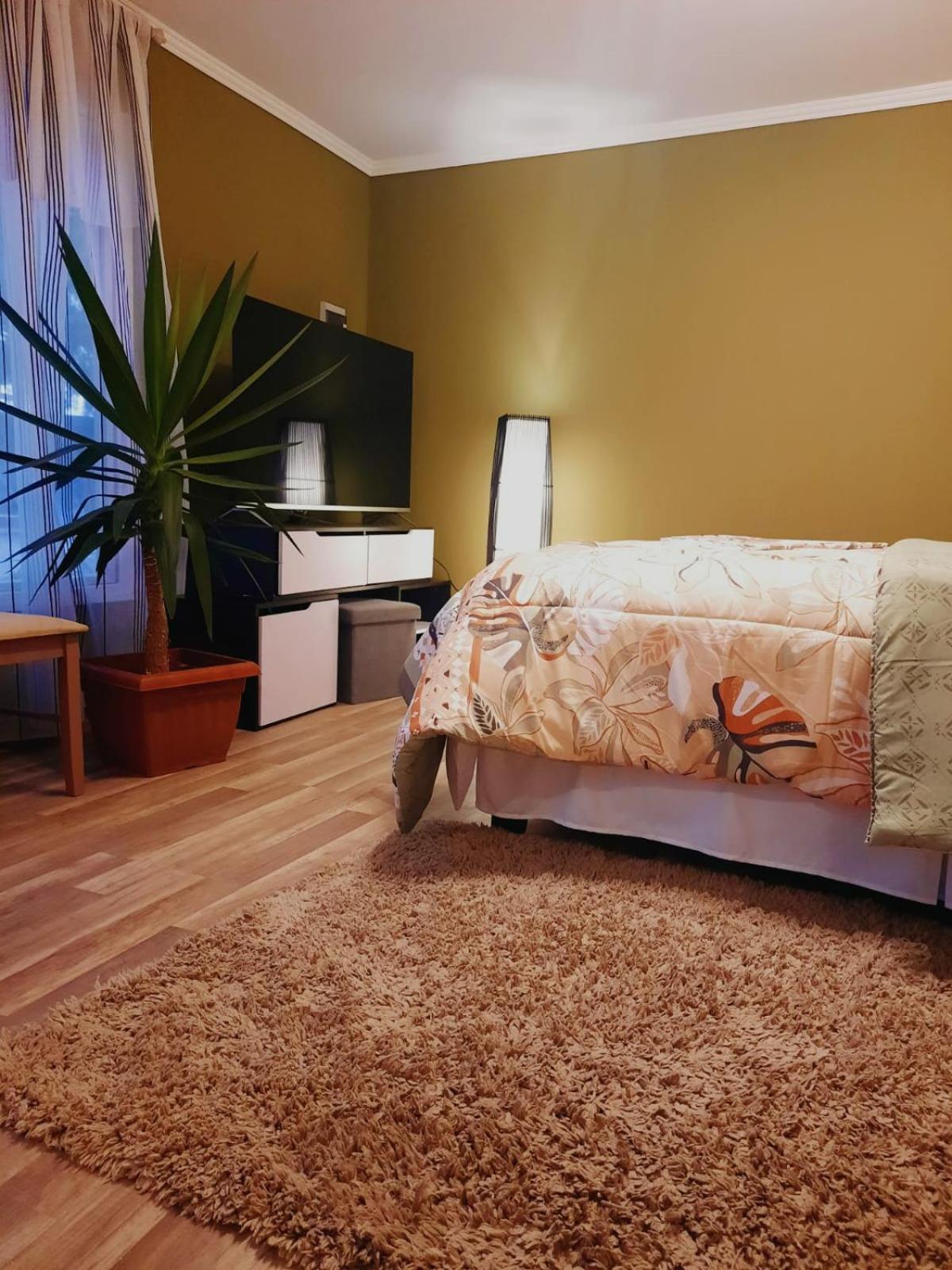 Apartment with Terrace photo 1