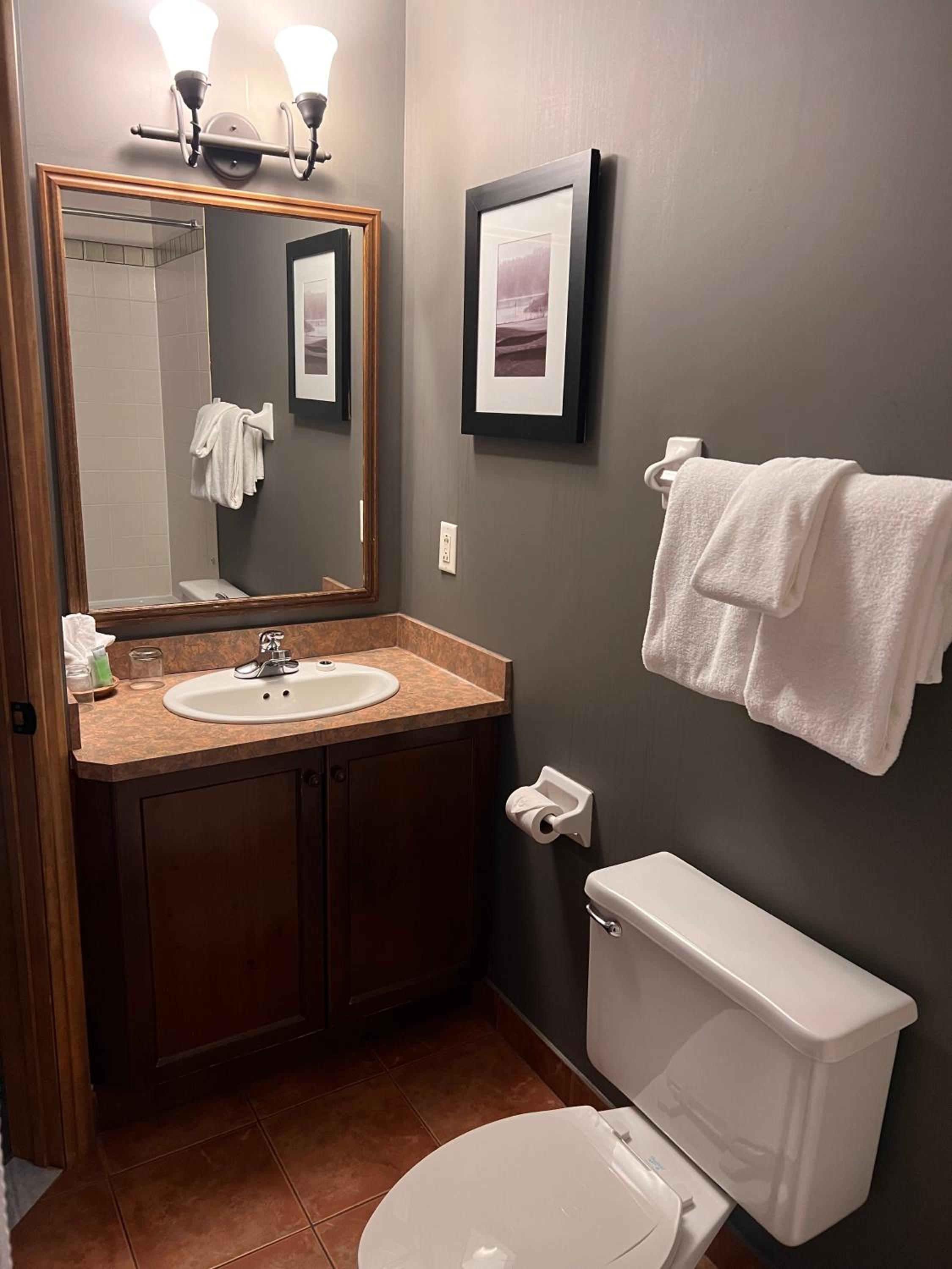 Lakelevel Suite (PET FRIENDLY) - Photo 7
