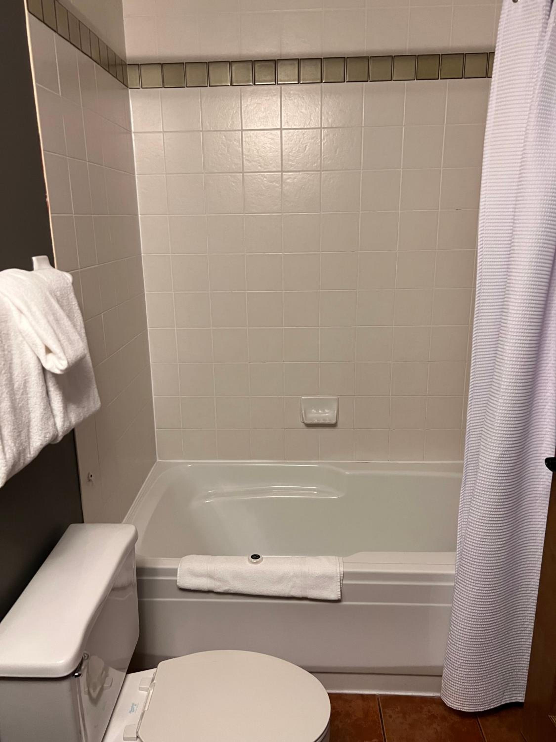 Lakelevel Suite (PET FRIENDLY) - Photo 2