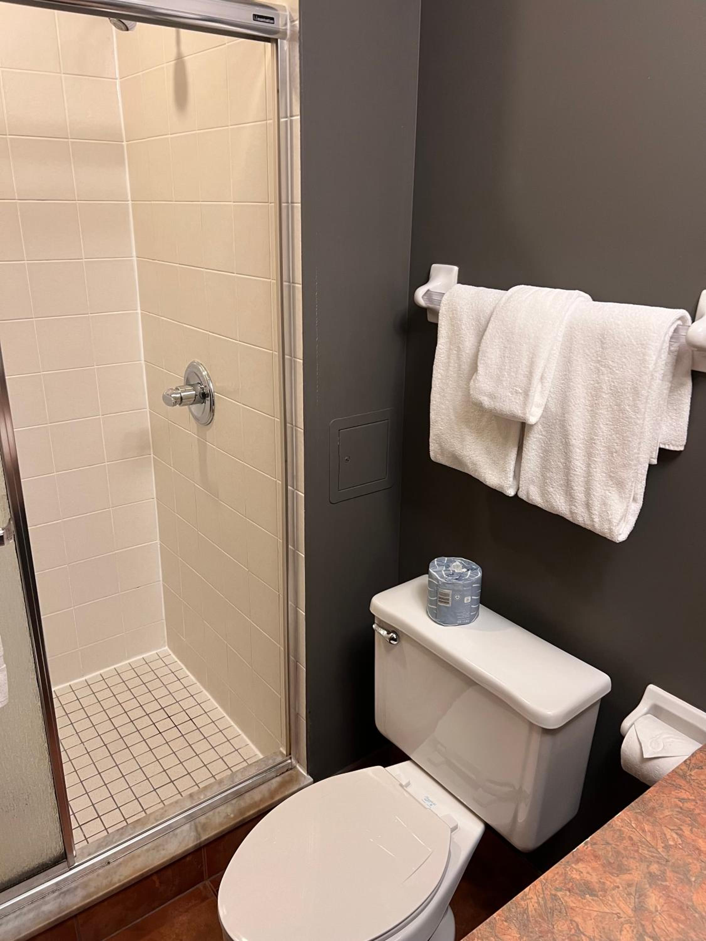 Lakelevel Suite (PET FRIENDLY) - Photo 8