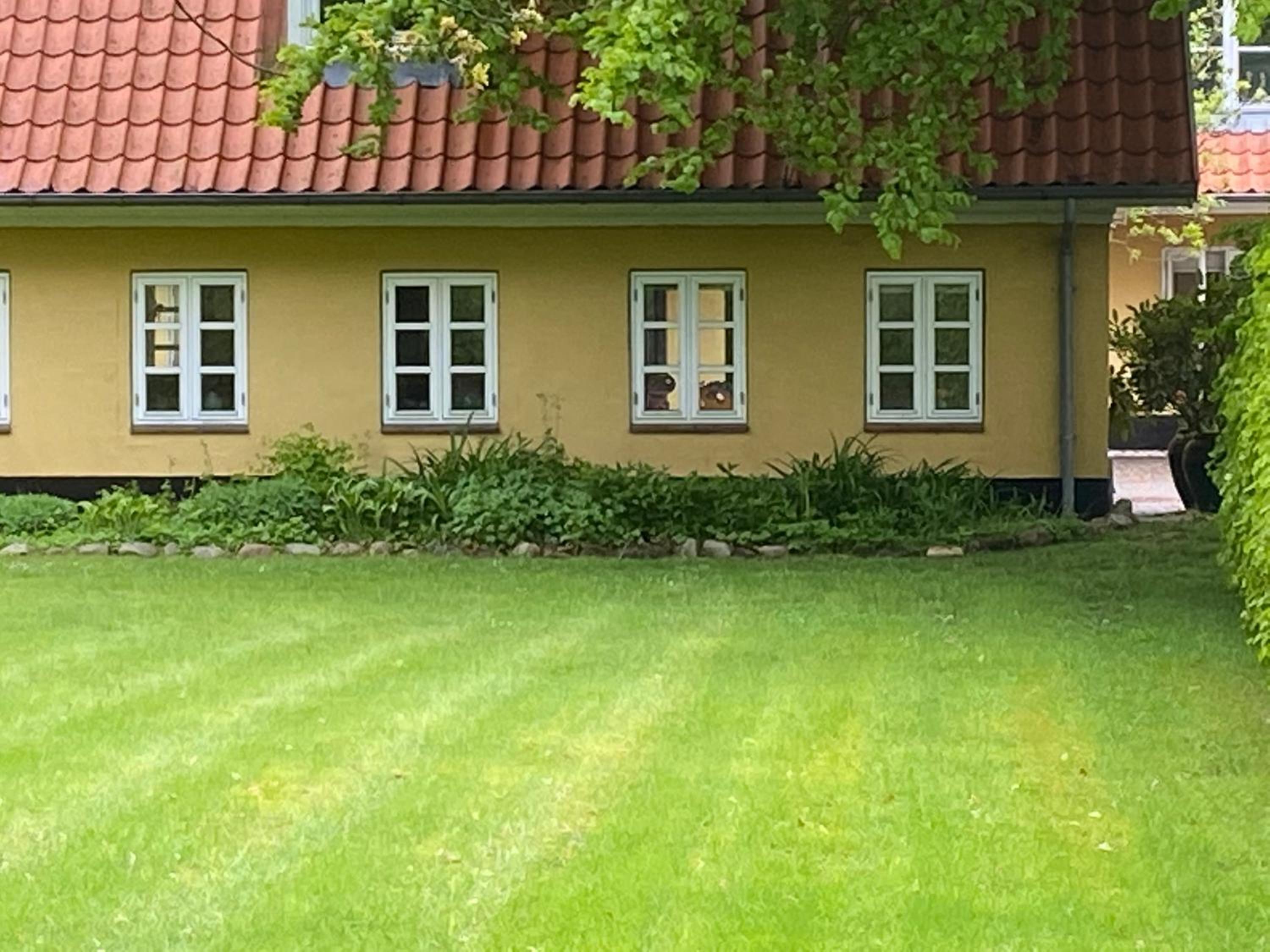Apartment with Terrace photo 2