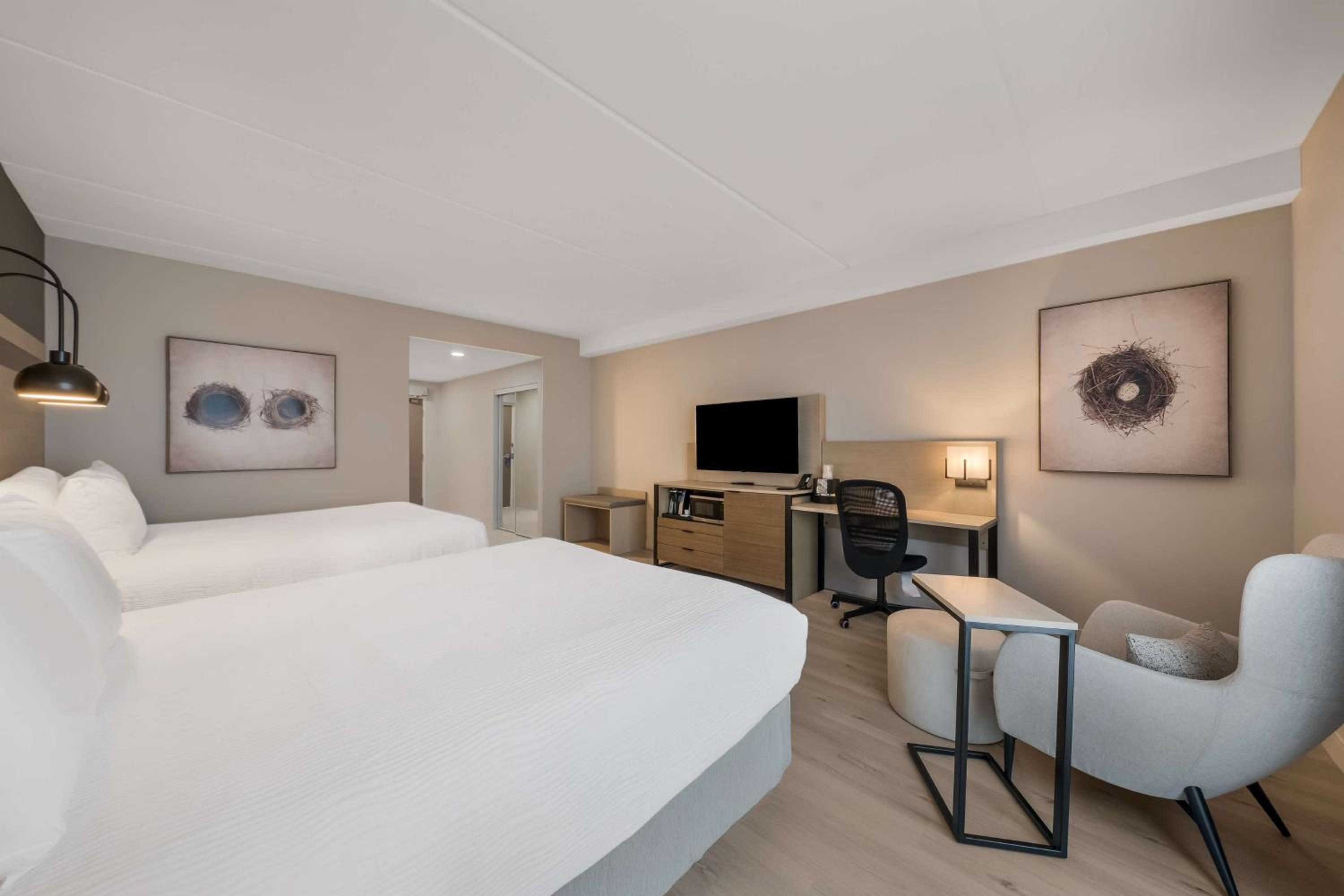 Queen Room with Two Queen Beds - Disability Access Roll in Shower - Photo 4