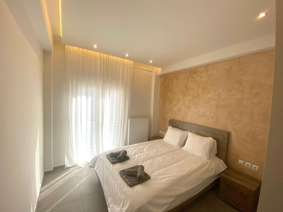 One-Bedroom Apartment photo 3