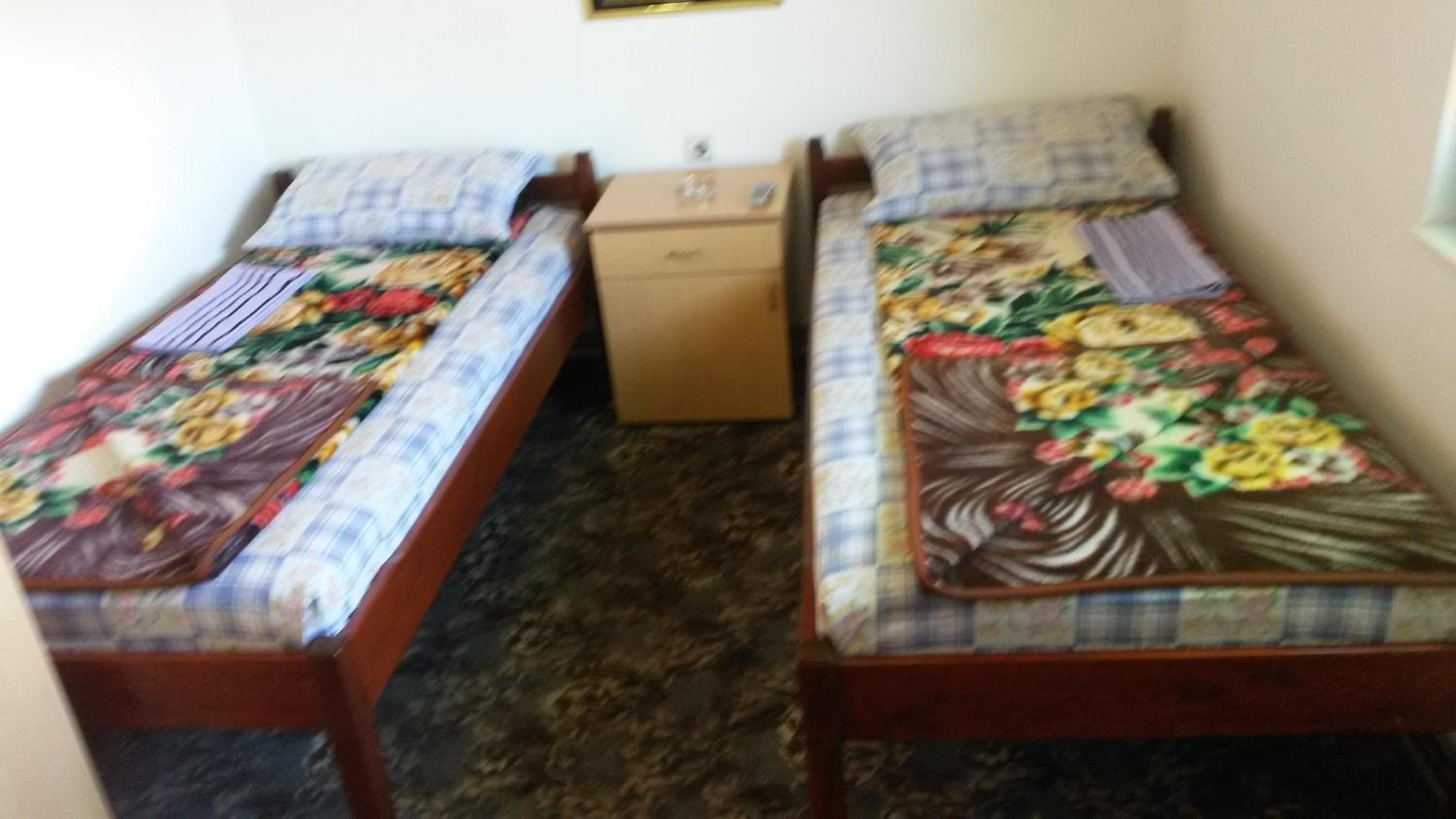 Twin Room photo 2