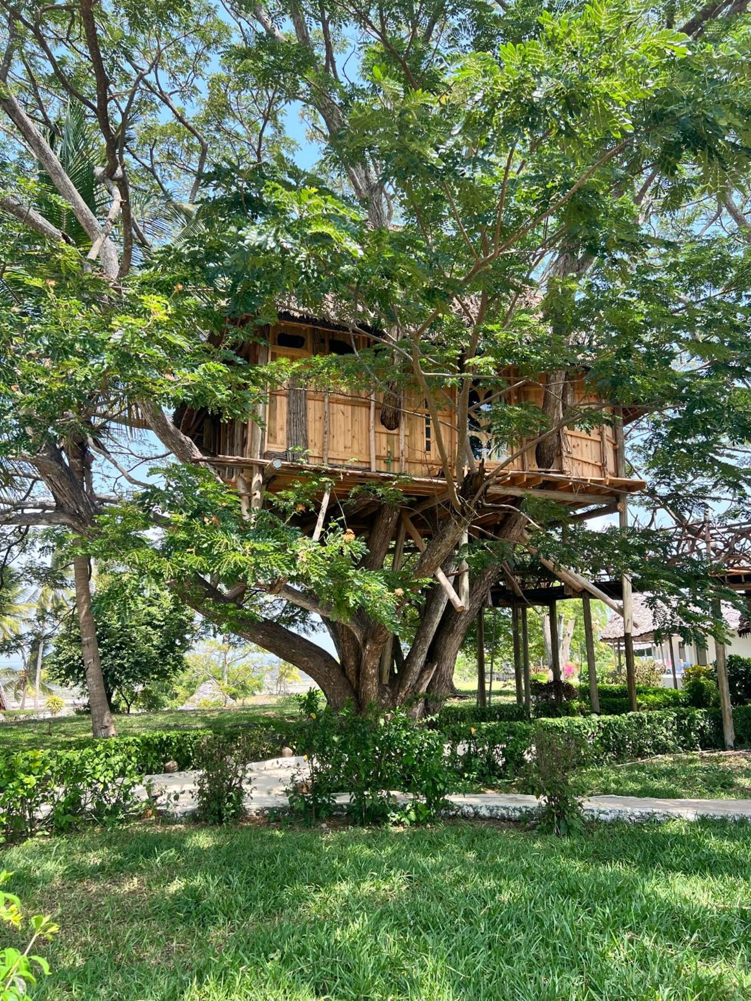 Tamarind Tree House
