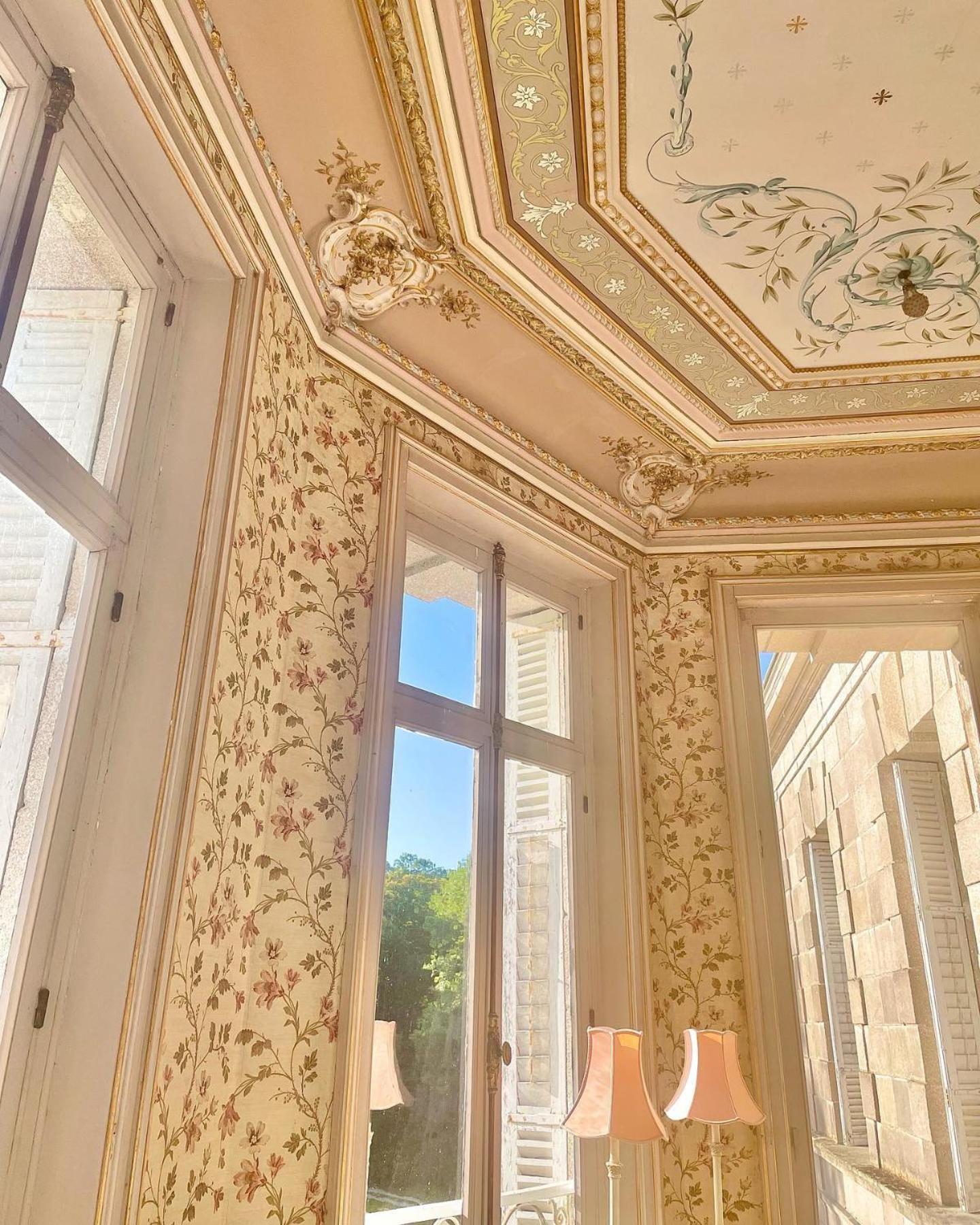 Superior King Room photo 2