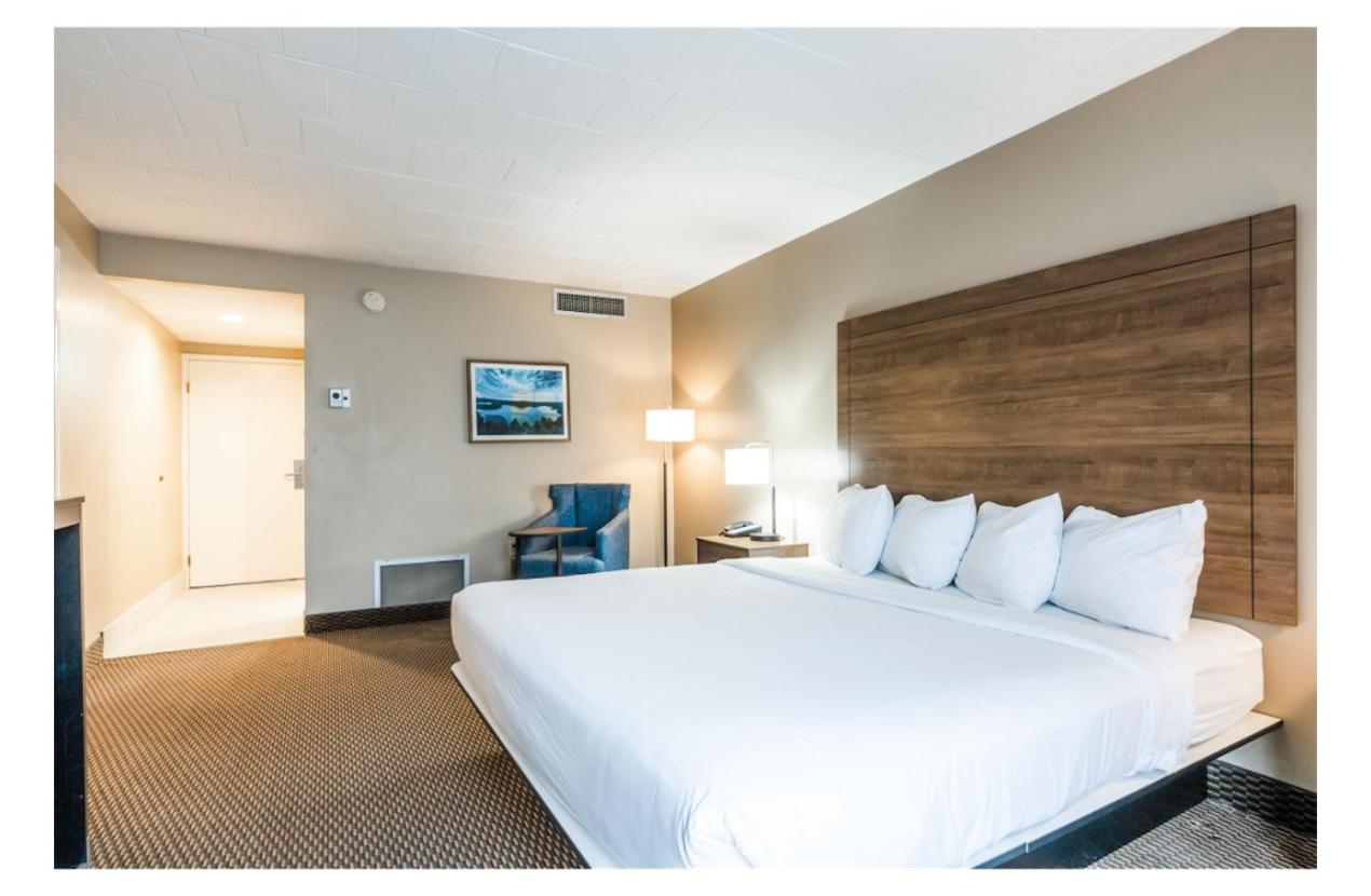 Standard King Room photo 1