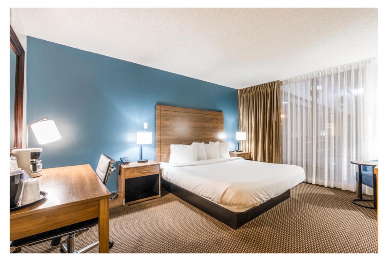 Standard King Room photo 3
