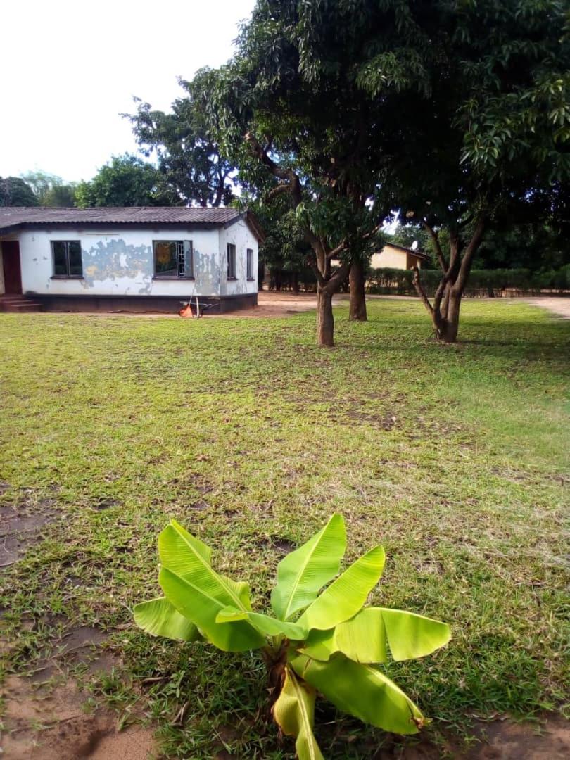 One-Bedroom Villa photo 2