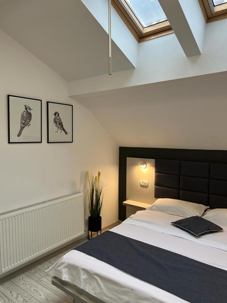 Single Room with Bathroom