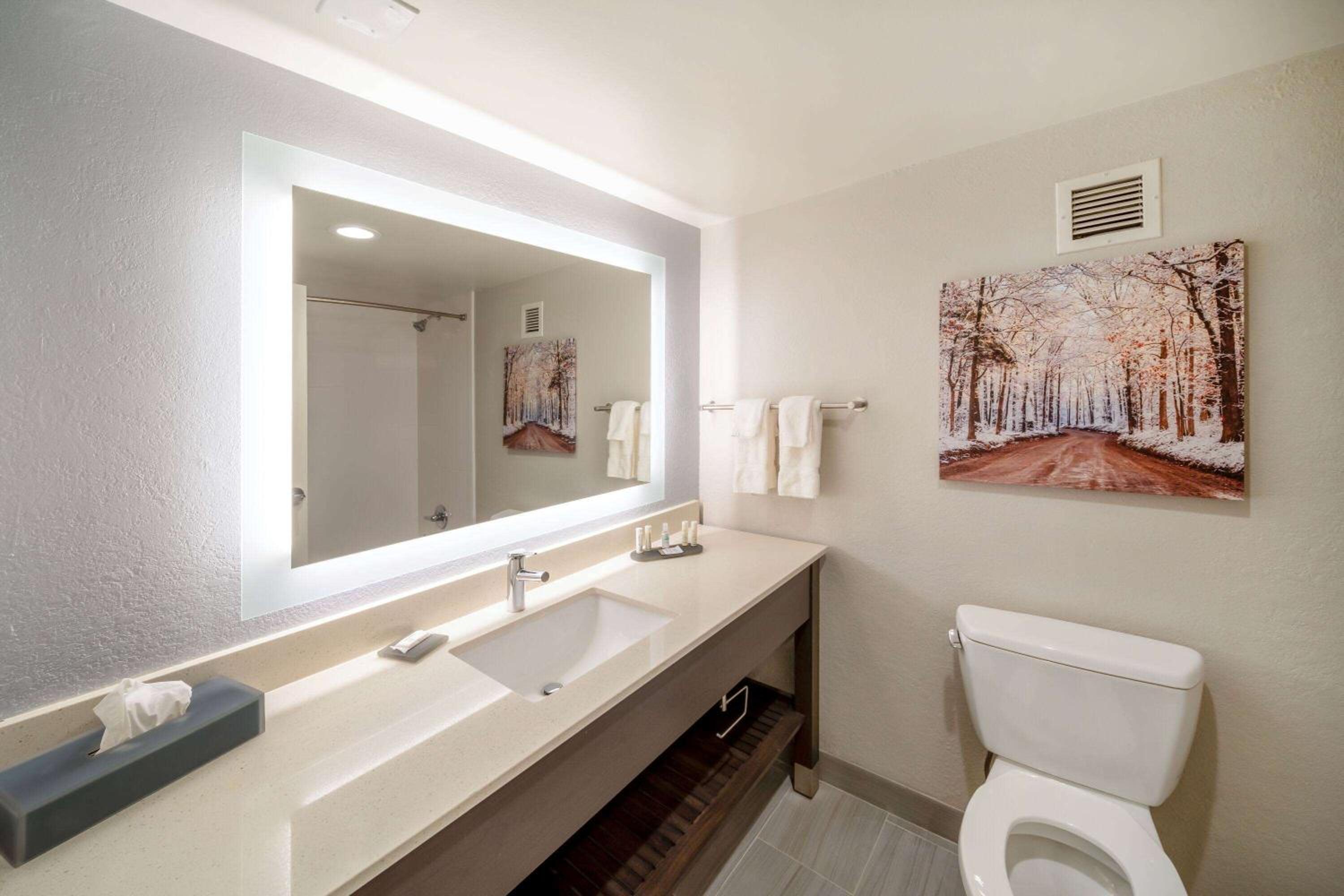 King Room with Roll-in Shower - Mobility Access/Non-Smoking - Photo 5