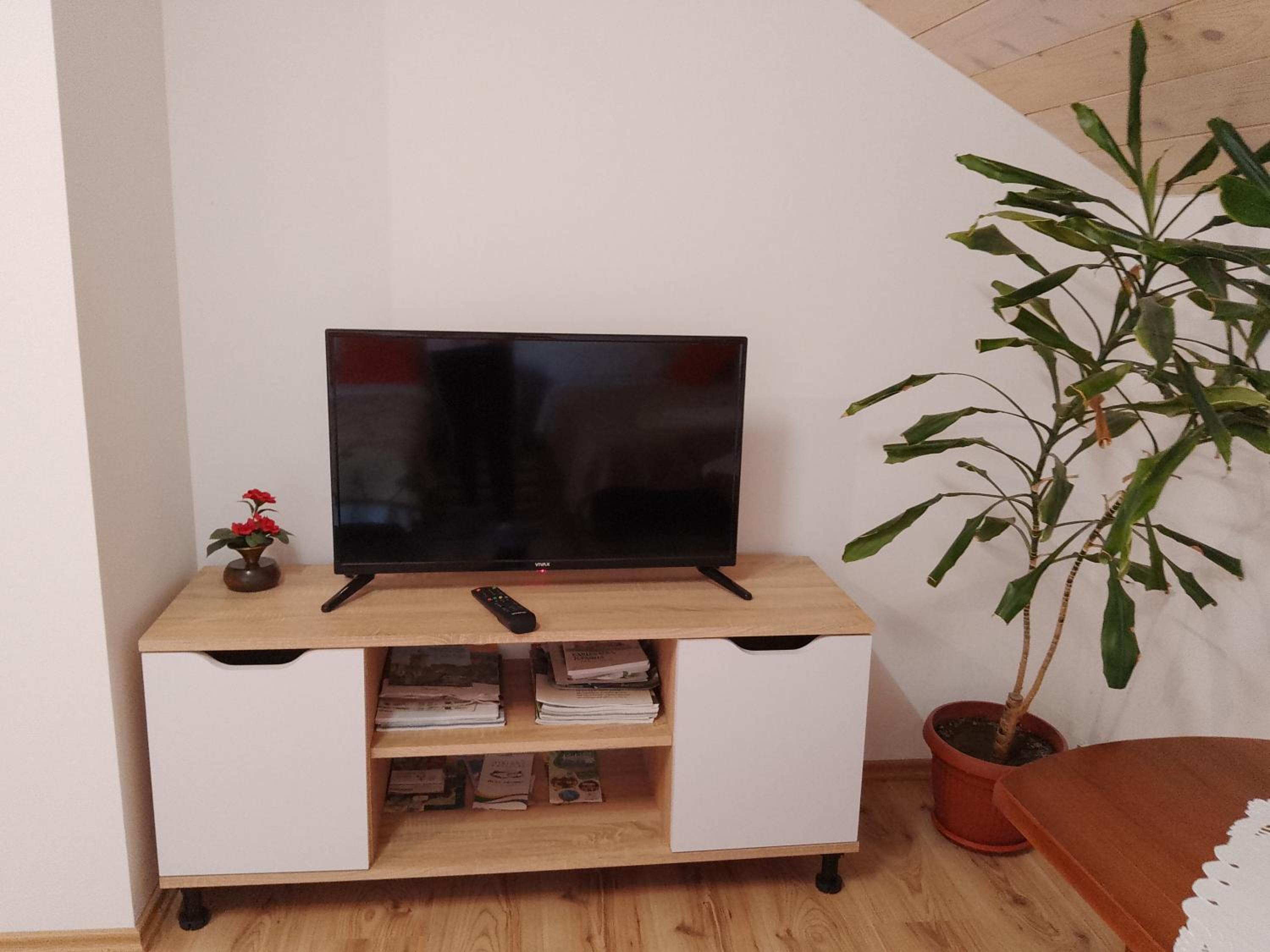 Apartment - Photo 1