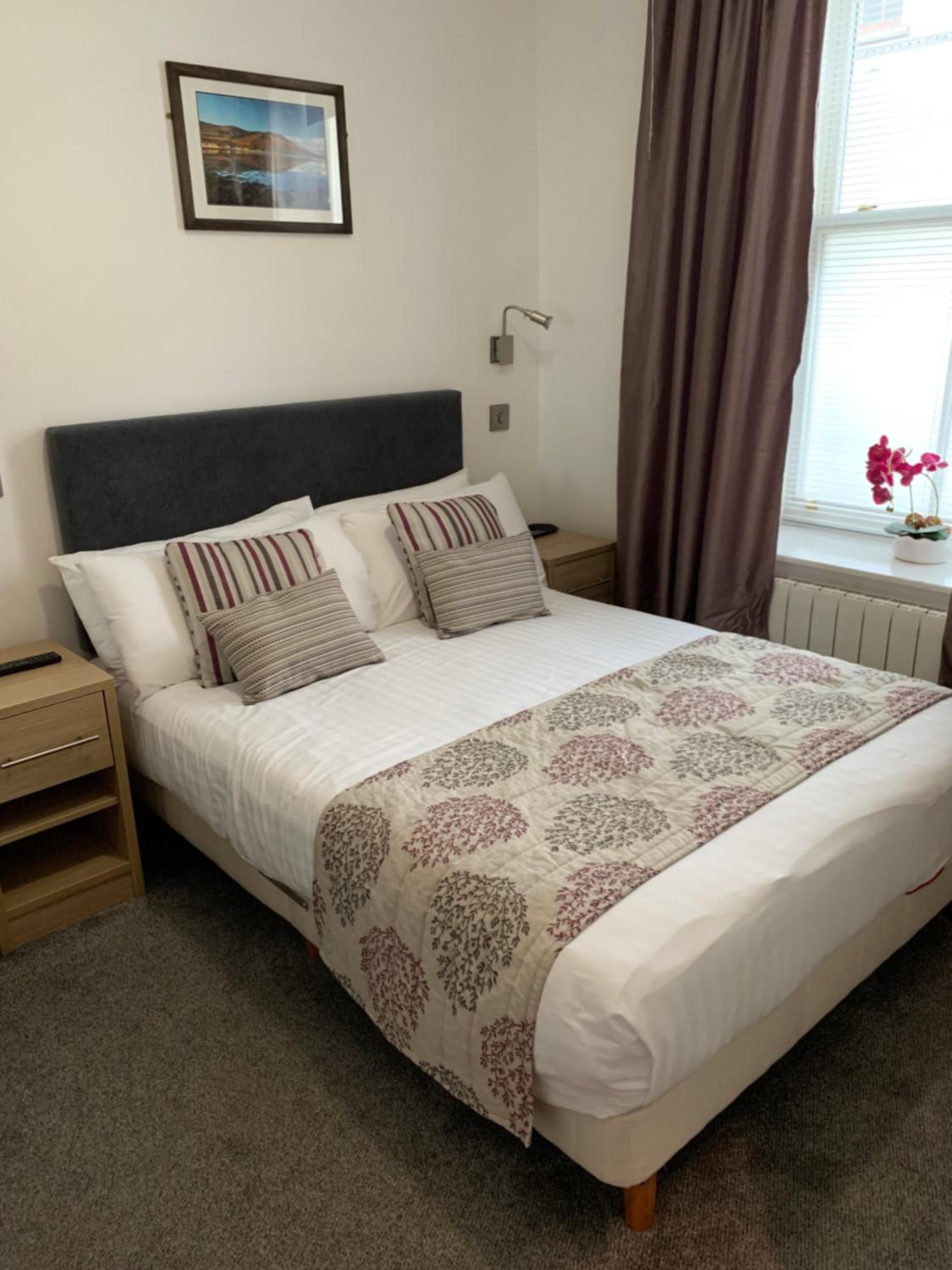 The Rostrevor Inn, 写真 4