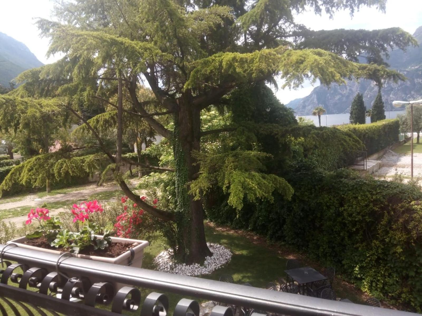 Deluxe Double or Twin Room with Lake View and Balcony photo 1