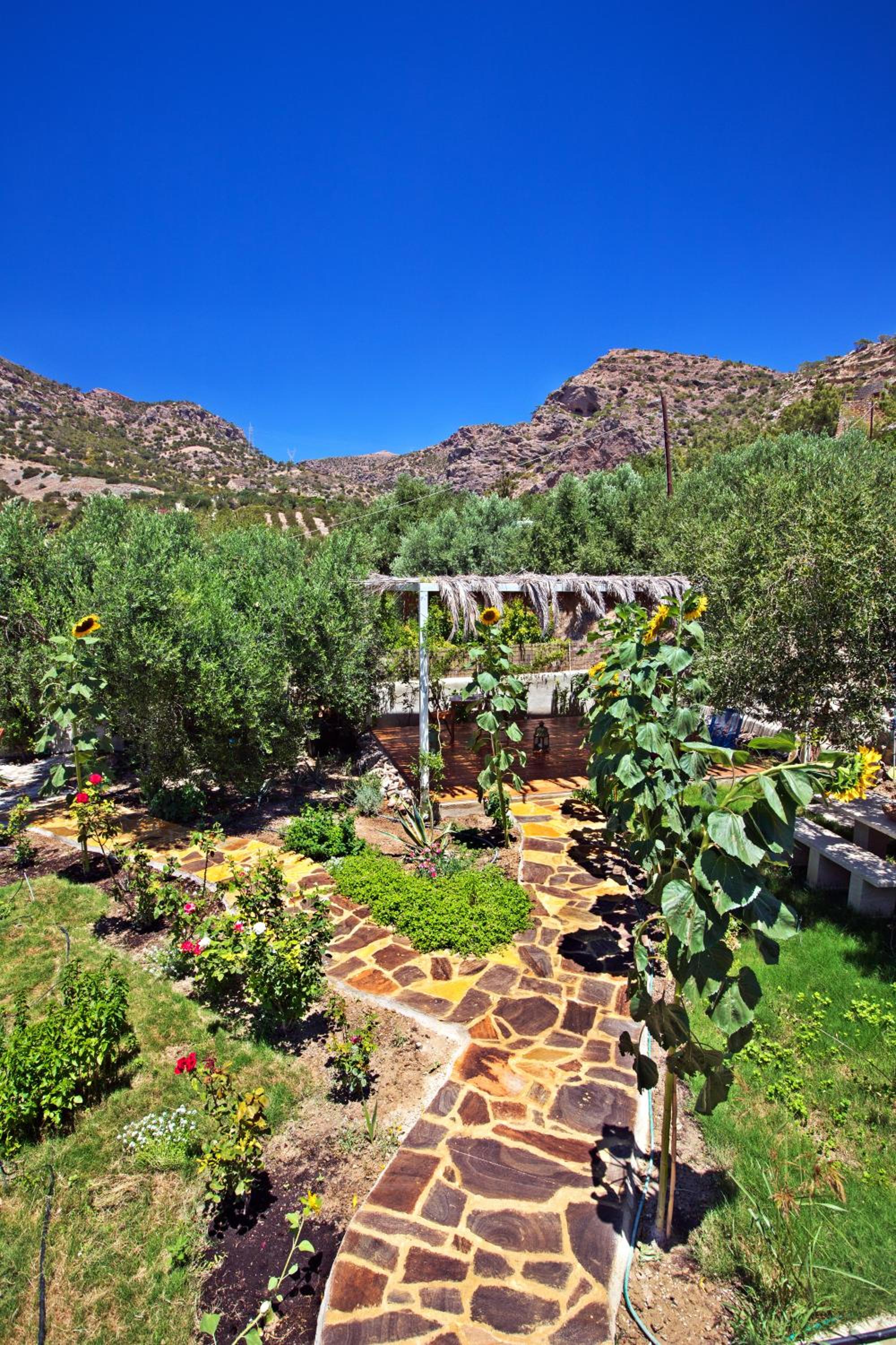 Bungalow with Garden View - Photo 12