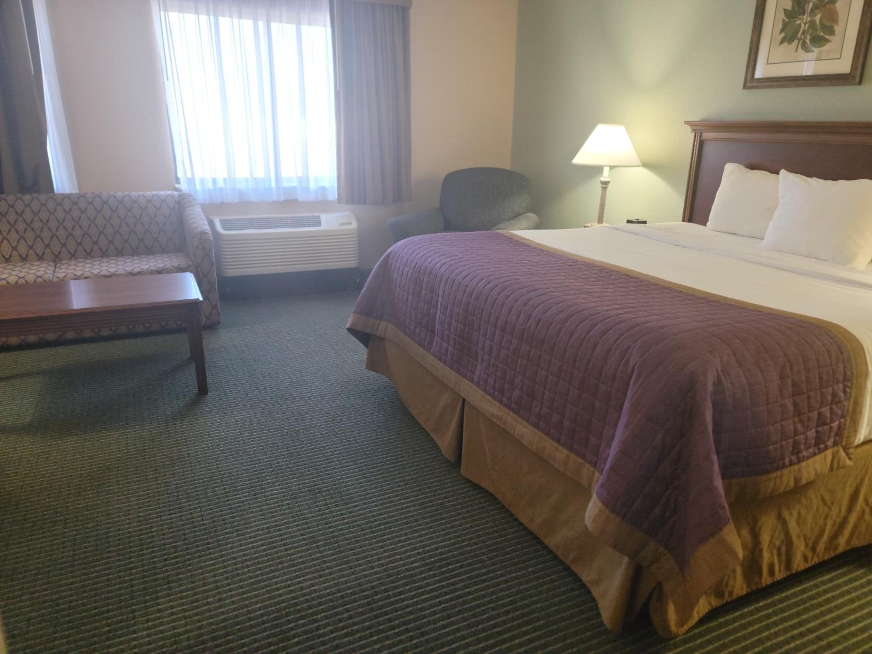 King Suite - Photo 7
