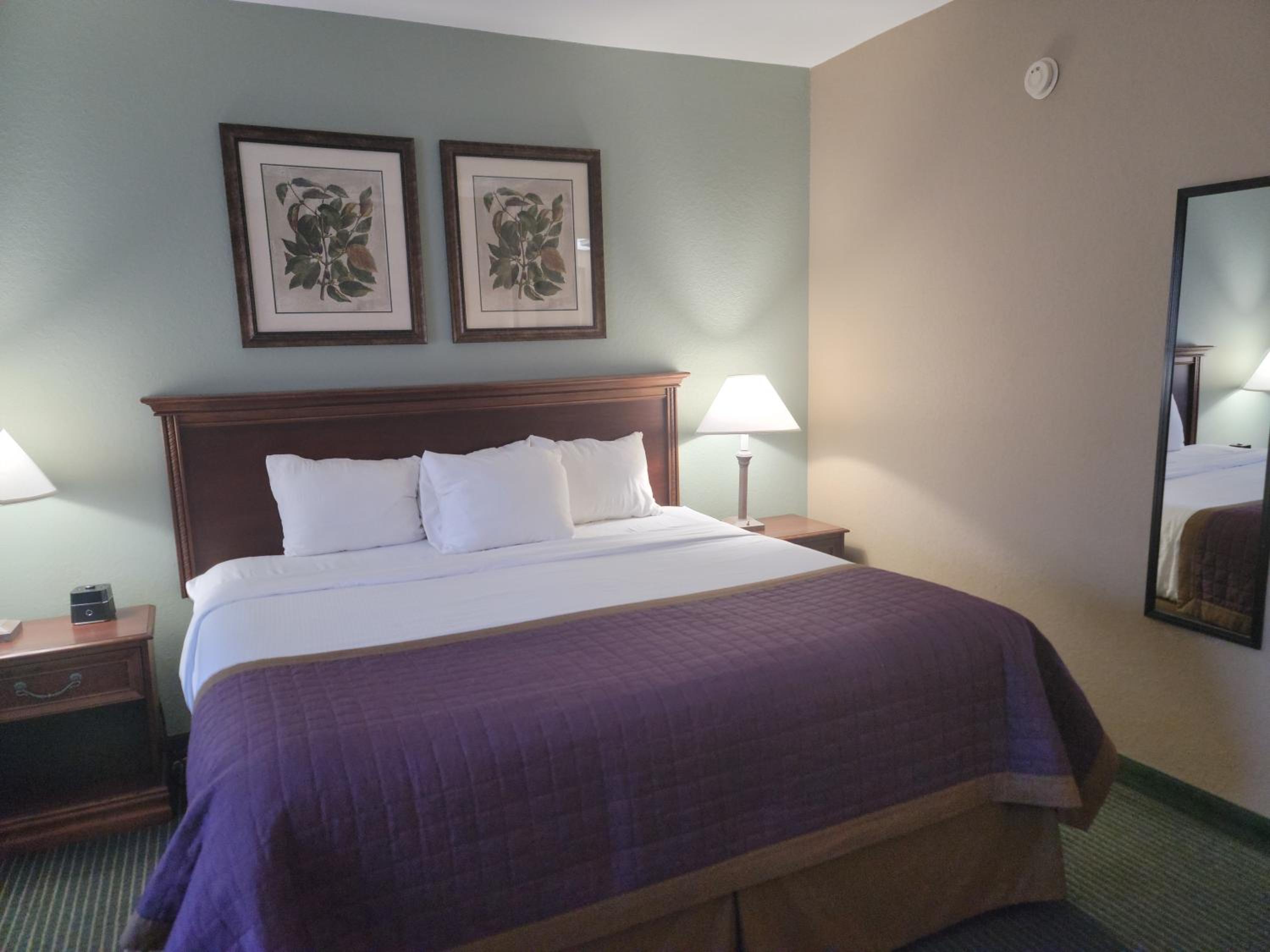 King Room - Non-Smoking - Photo 9