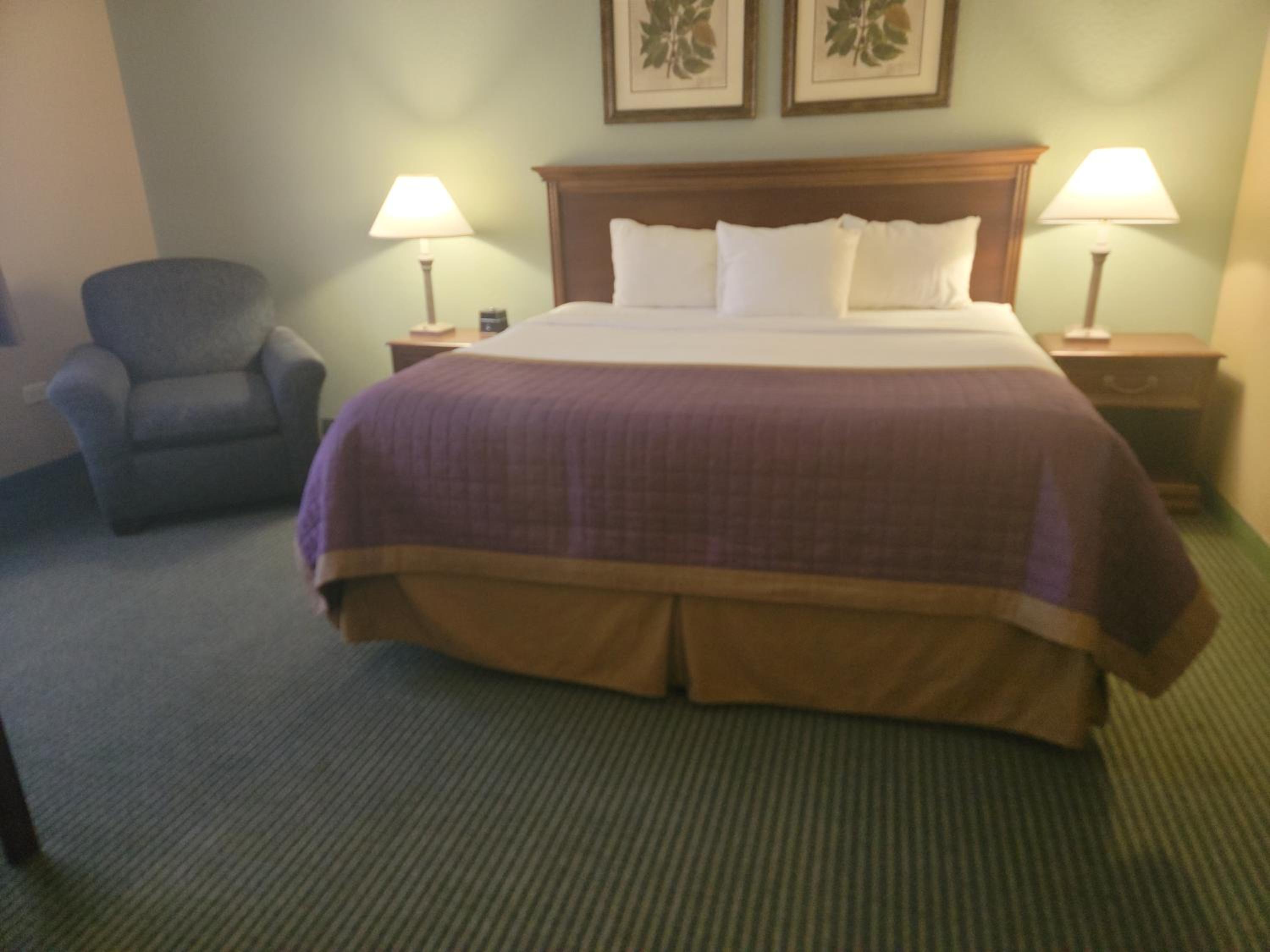 King Room - Non-Smoking - Photo 10