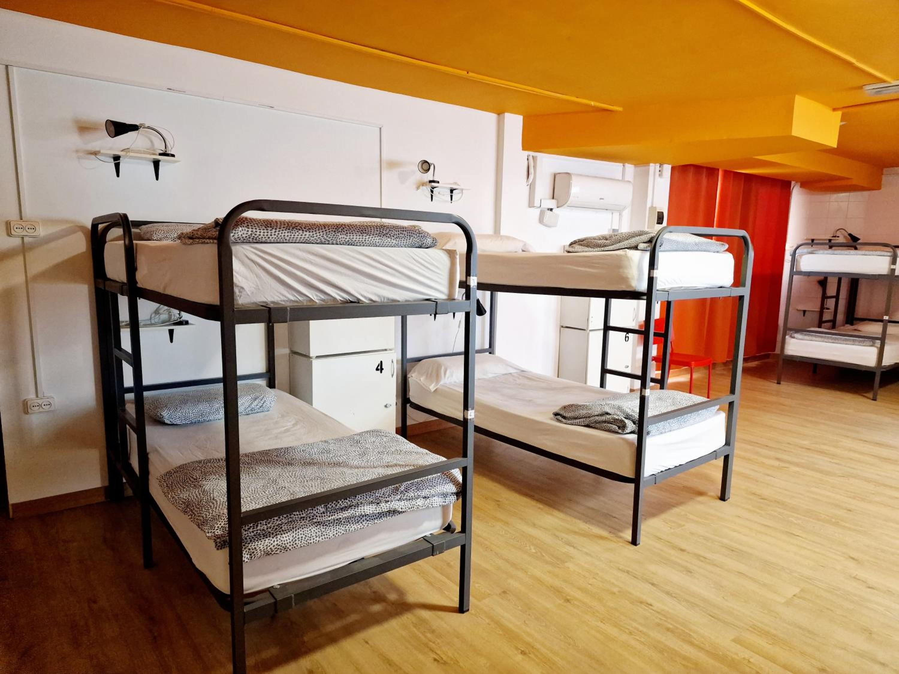 Bunk Bed in 10-Bed Mixed Dormitory Room photo 3