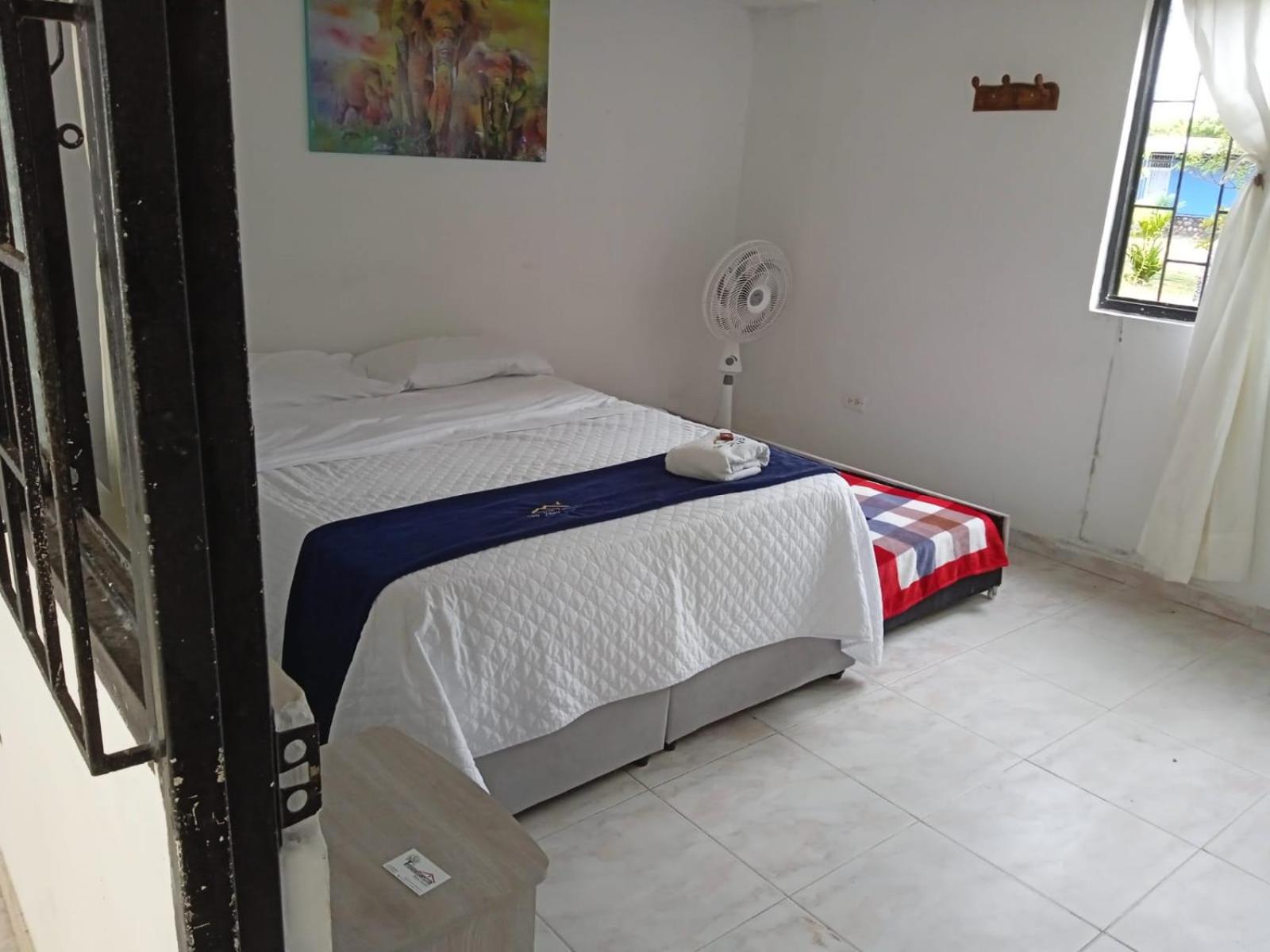 Single Room photo 2