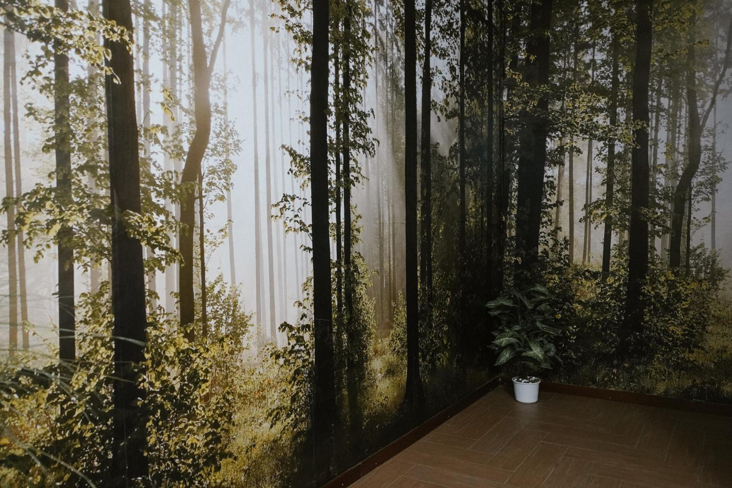 Quadruple Room with Terrace photo 3