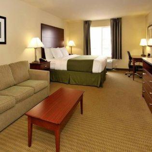 King Suite photo 1