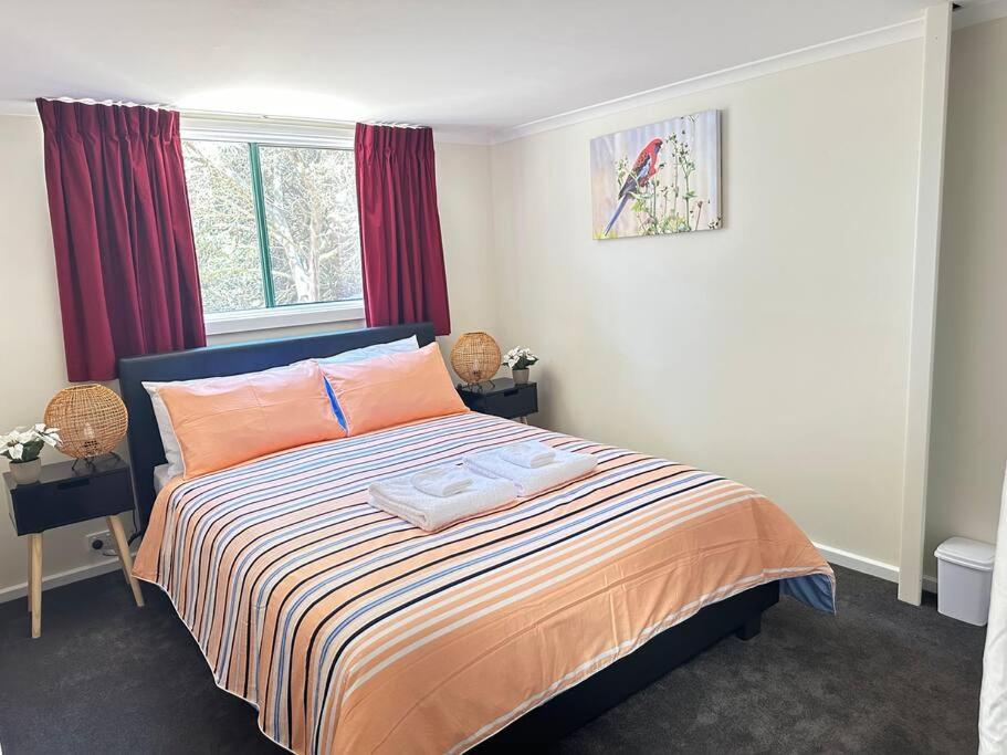 One-Bedroom House photo 2