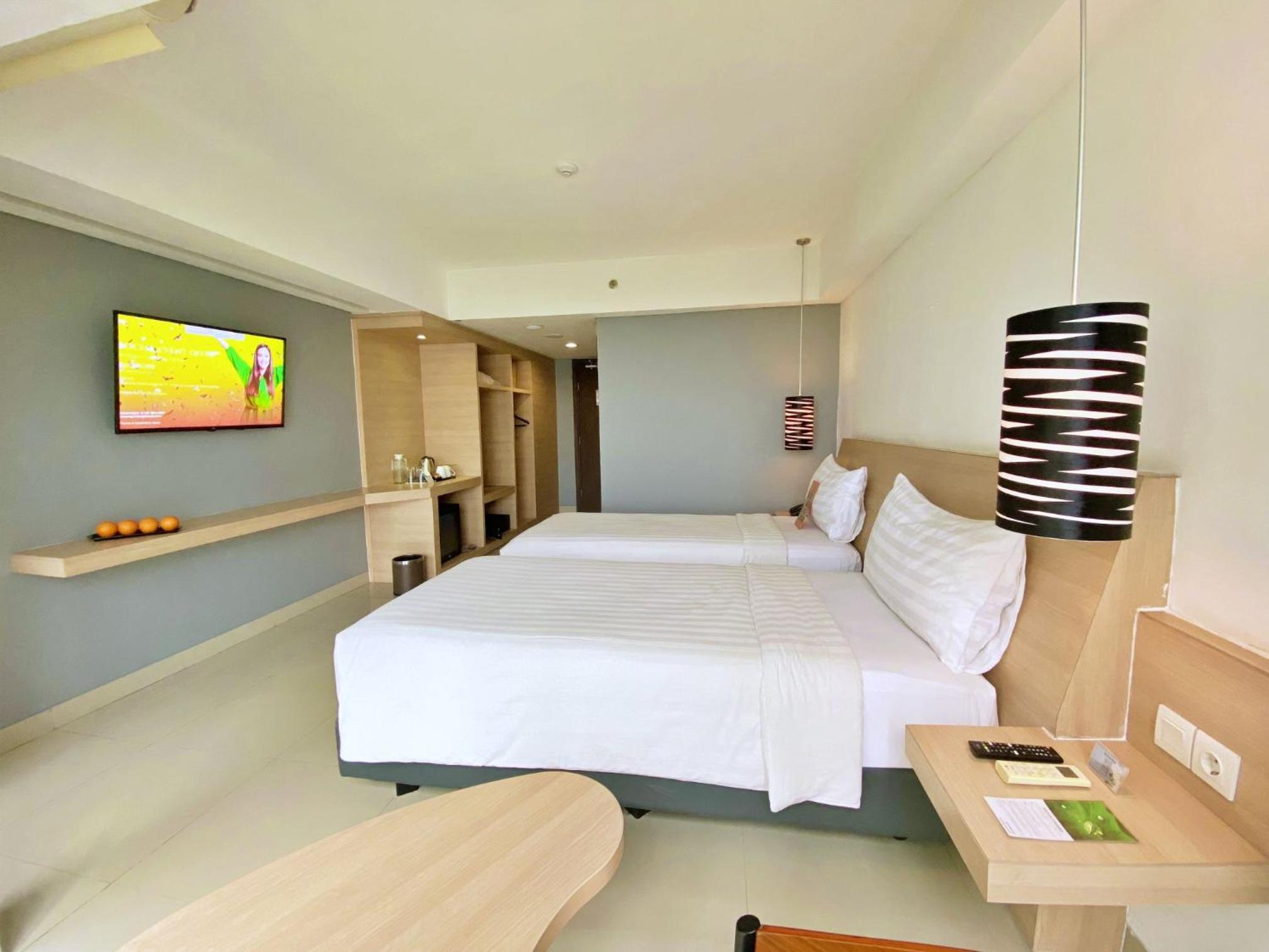 Deluxe Double or Twin Room photo 3
