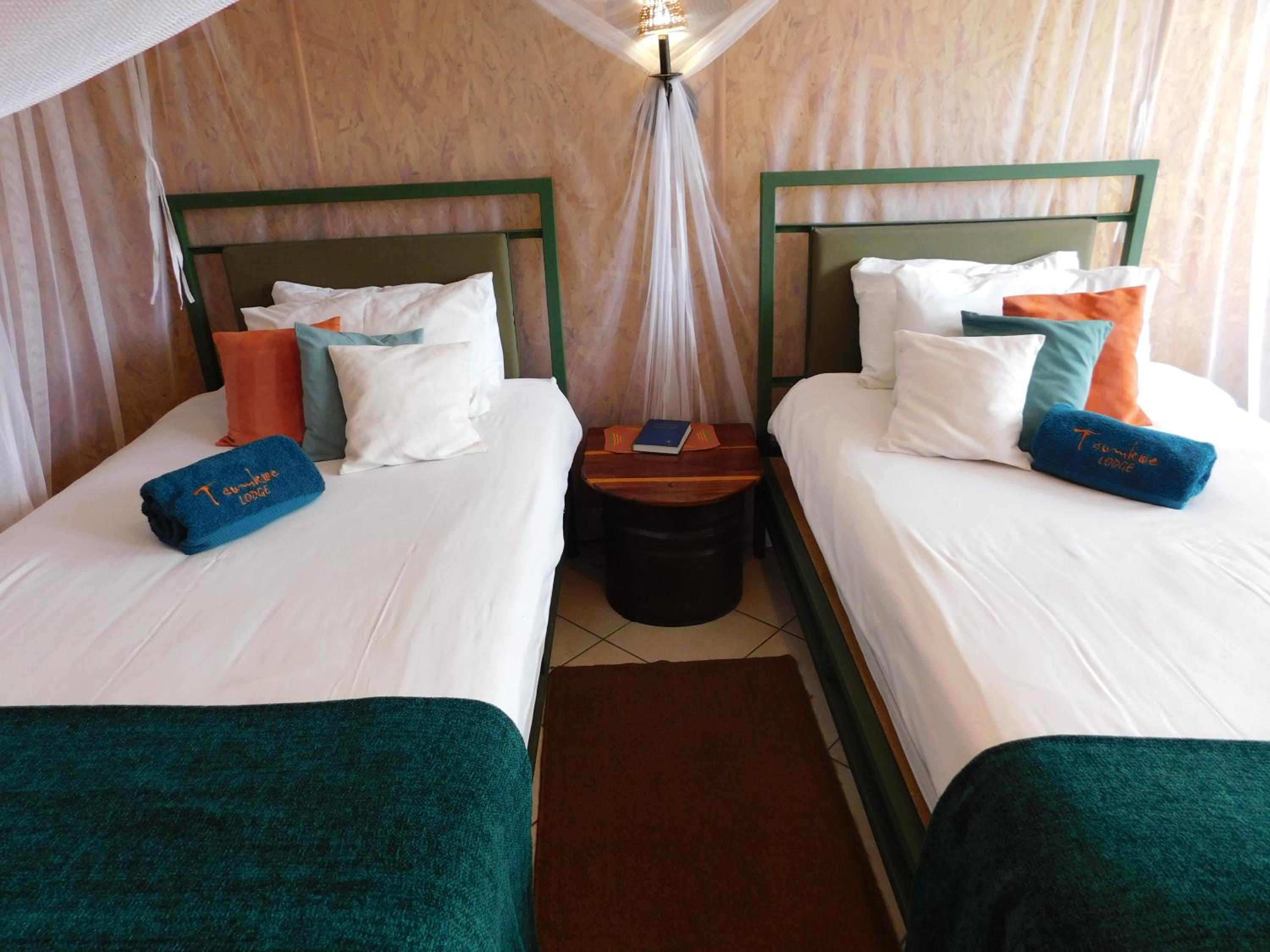 Standard Twin Room photo 2